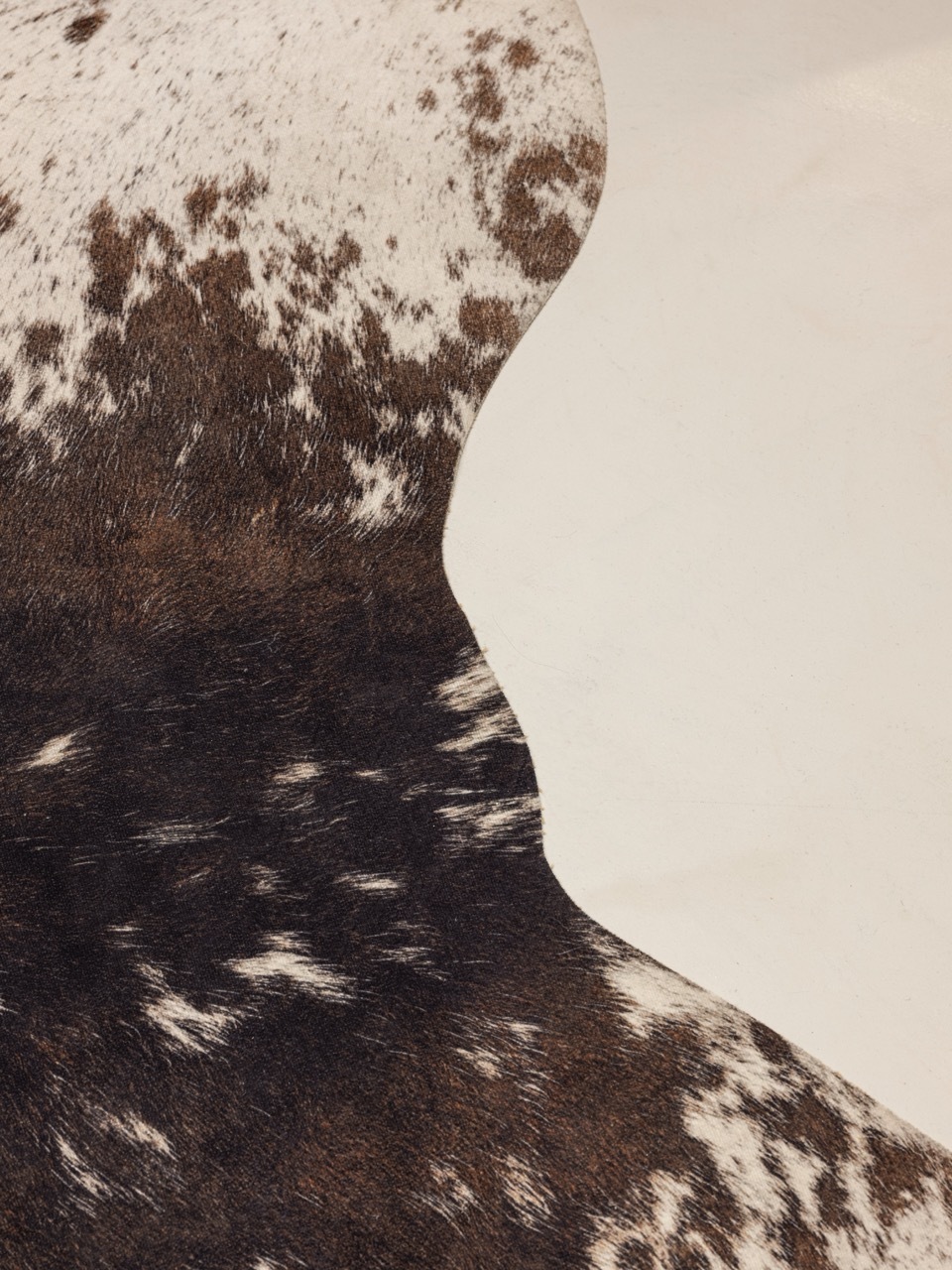 offcavour_250113_024 - dimensioni grandi.jpeg