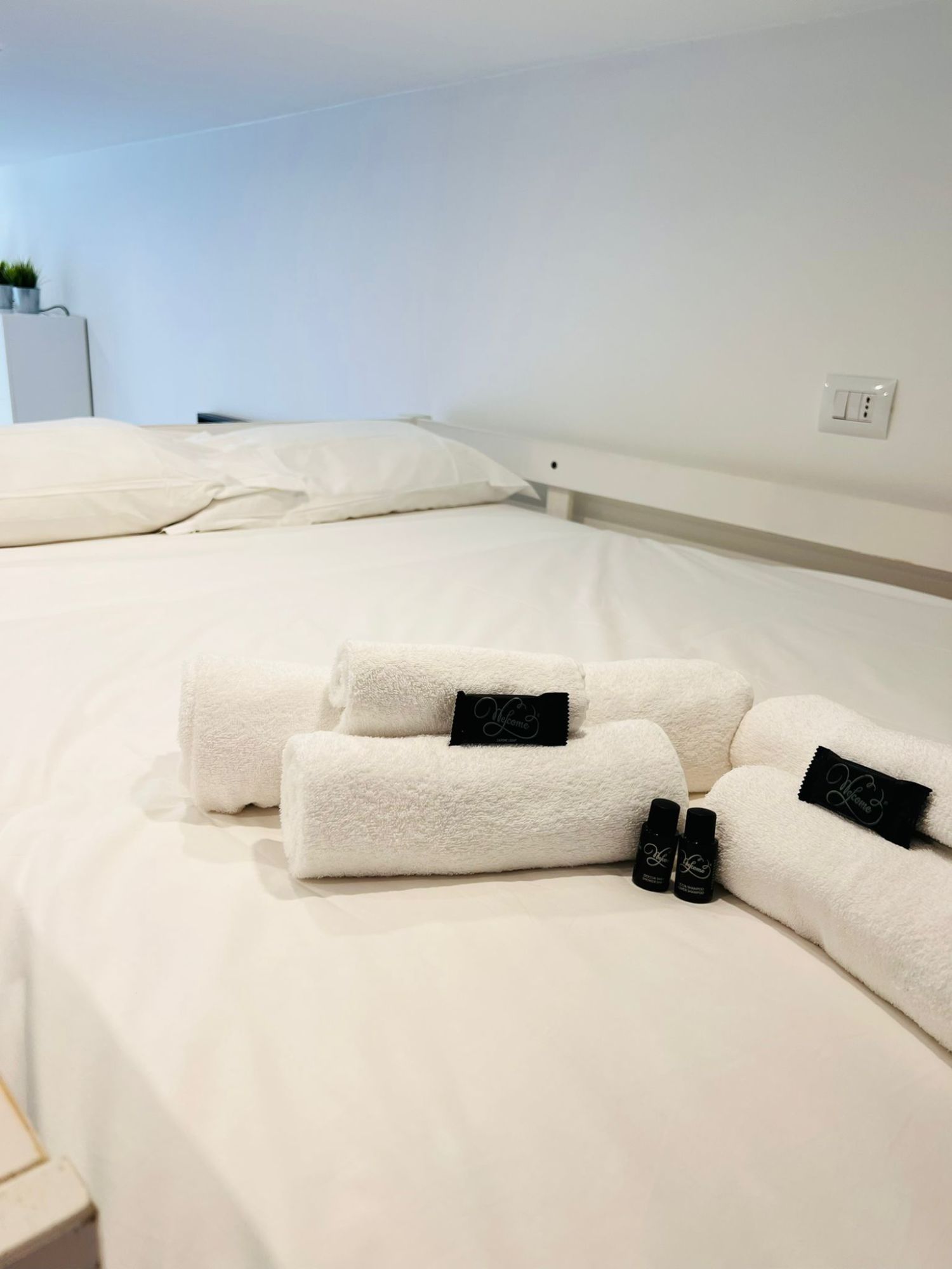 WhatsApp Image 2022-05-02 at 13.13.29.jpeg