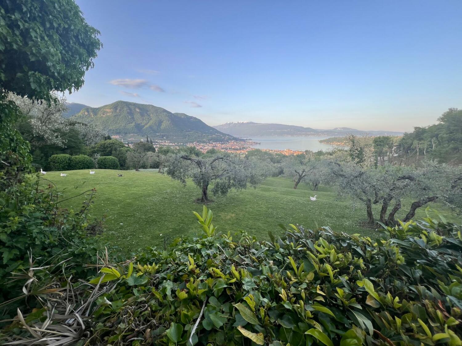 d1d383d9-8356-4b4e-9cb2-c72b21a1db21 (1).jpg