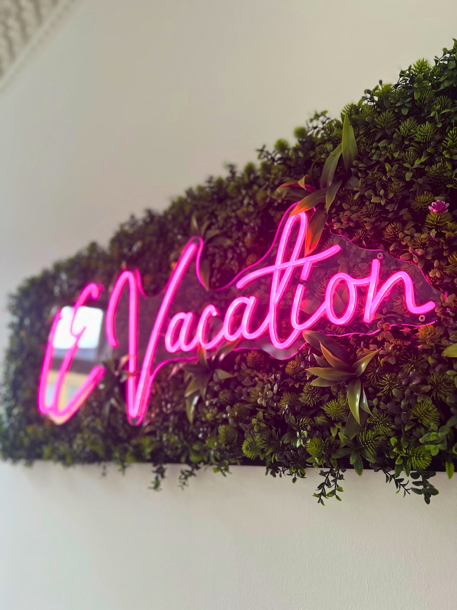 IMG_2837 - bearbeitet-2.jpg