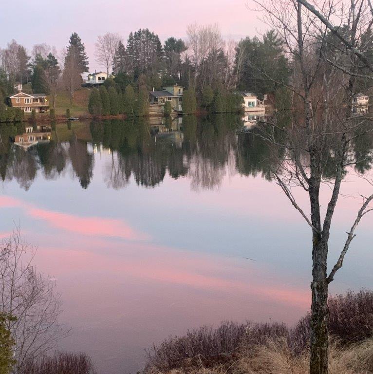 28-  le 11-11-2020 .jpg