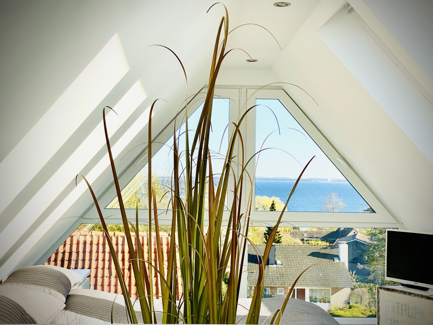 Foto 20.04.20, 17 37 50.jpg