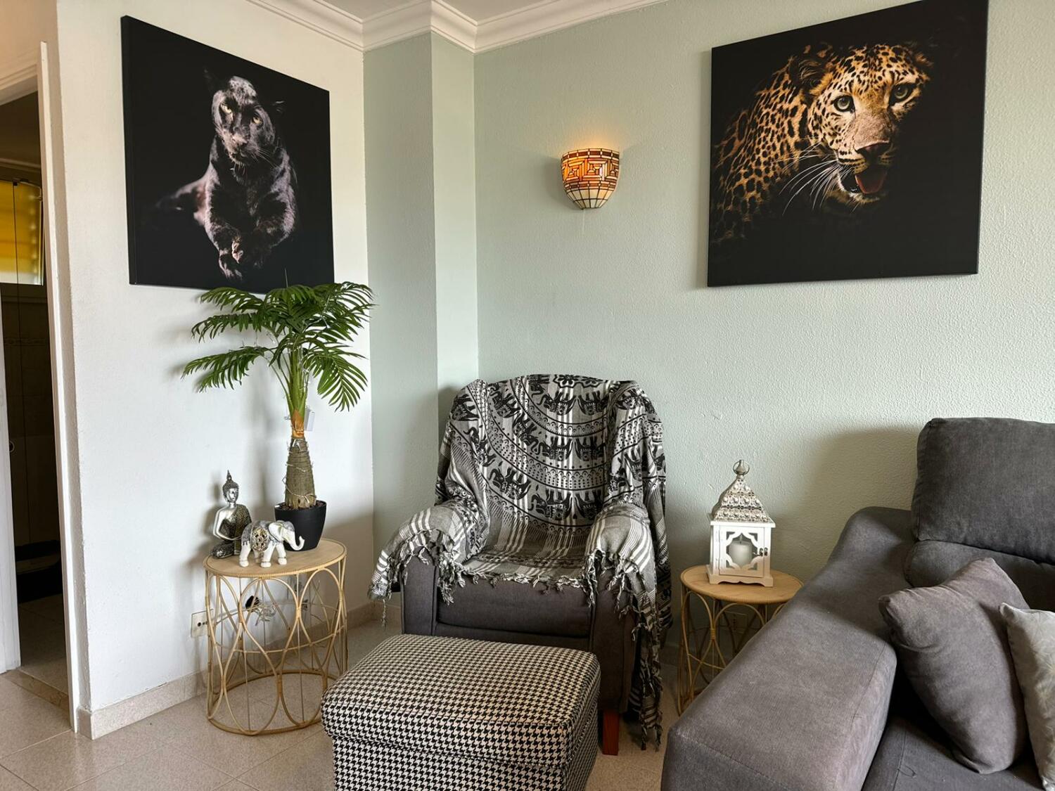 WhatsApp Image 2026-01-06 at 22.30.55 (6).jpeg