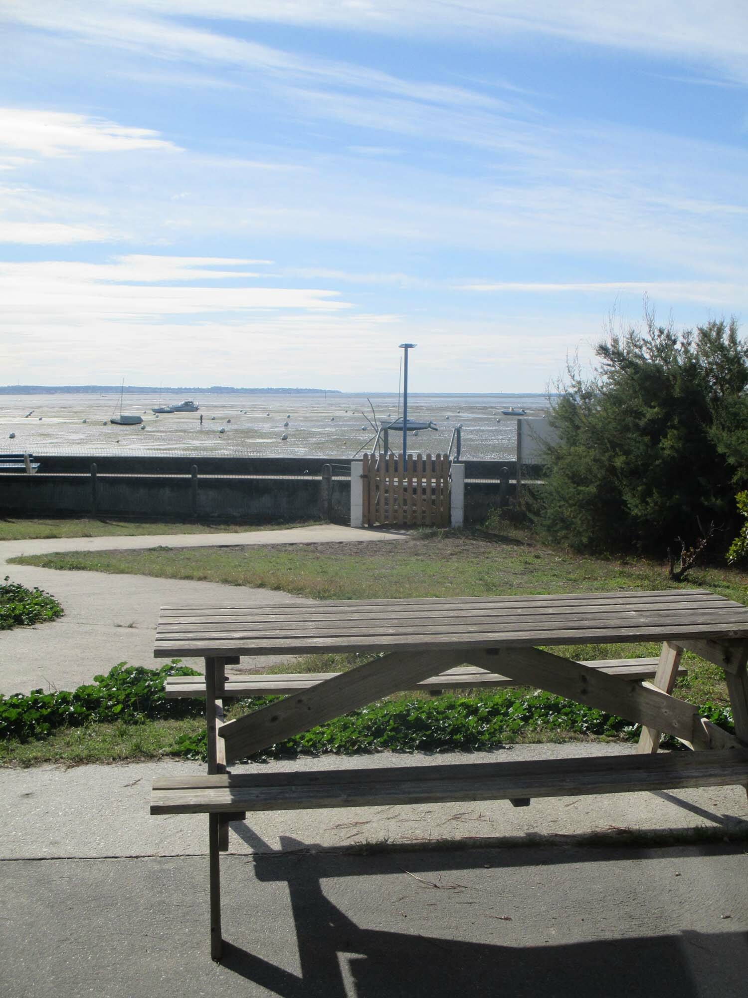 courlis terrasse.jpg