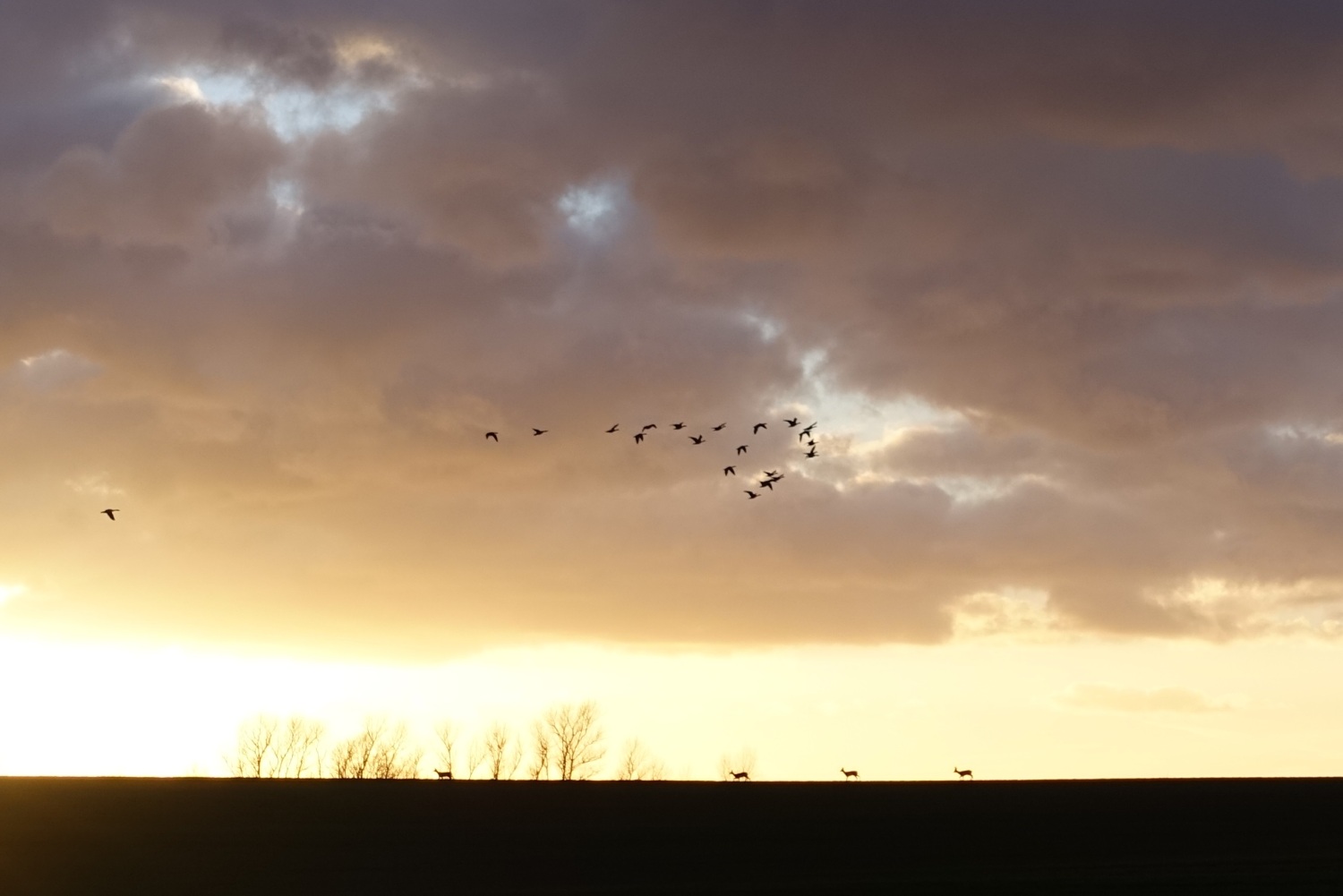 DSC00915 - abendBlick.JPG