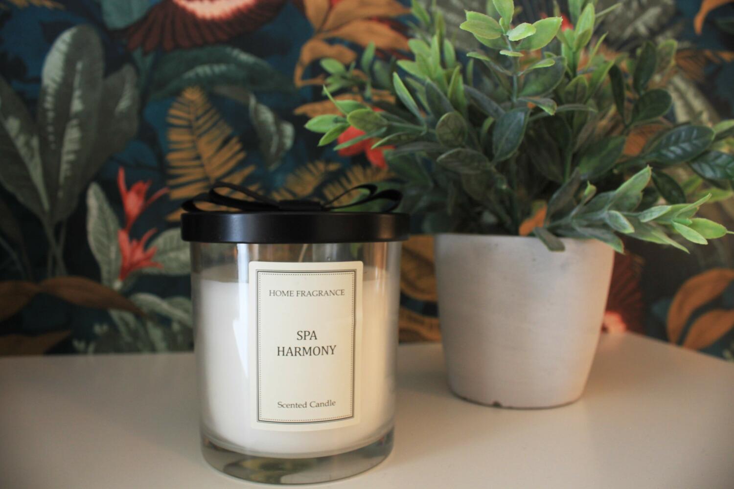 RB Apartment Spakerze.jpg