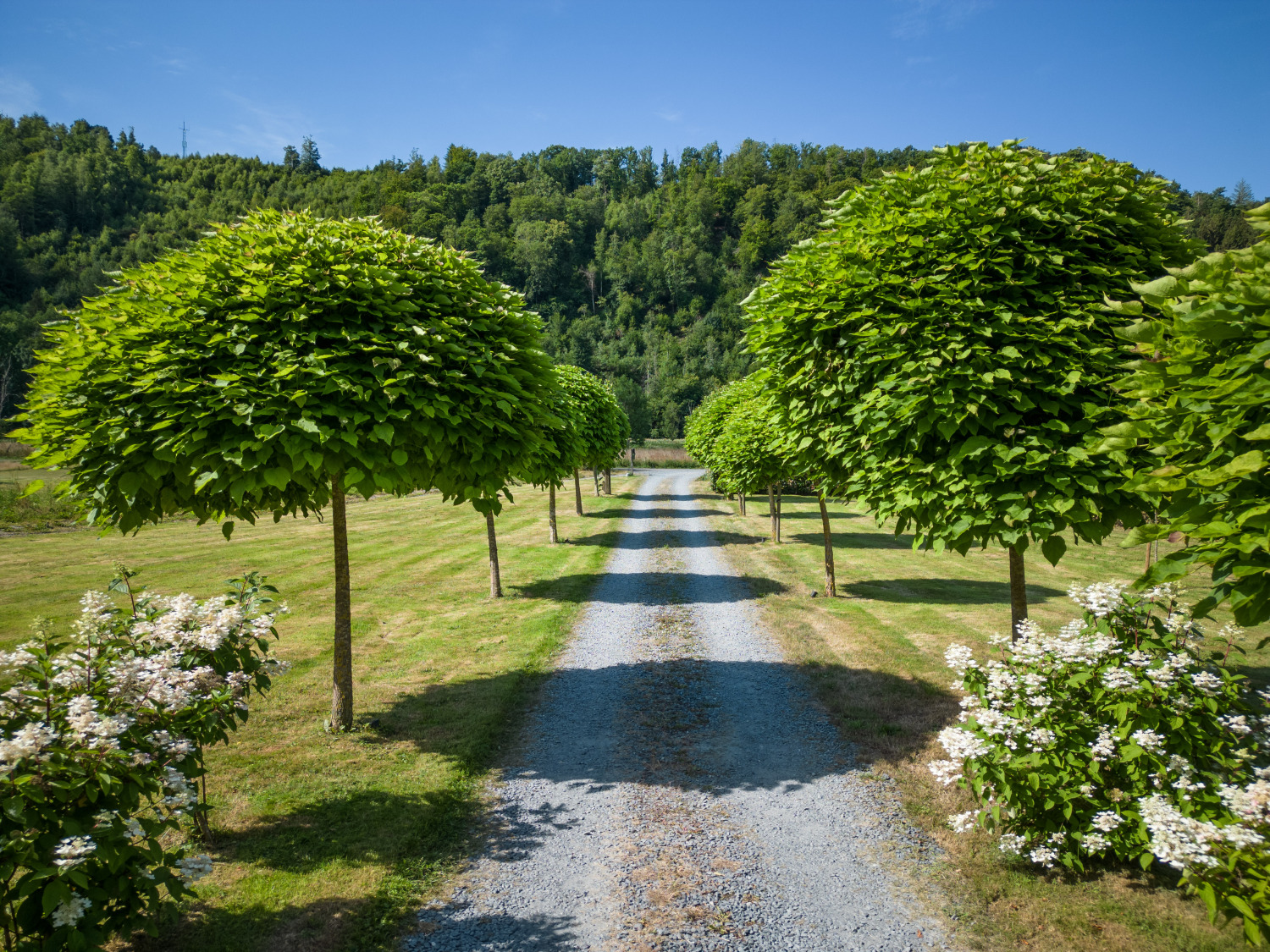 Bills Lodge Web-0037.jpg