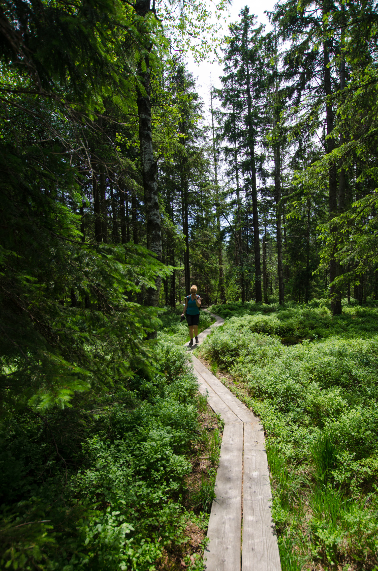 Fotograf Lars Schmucker 2.jpg