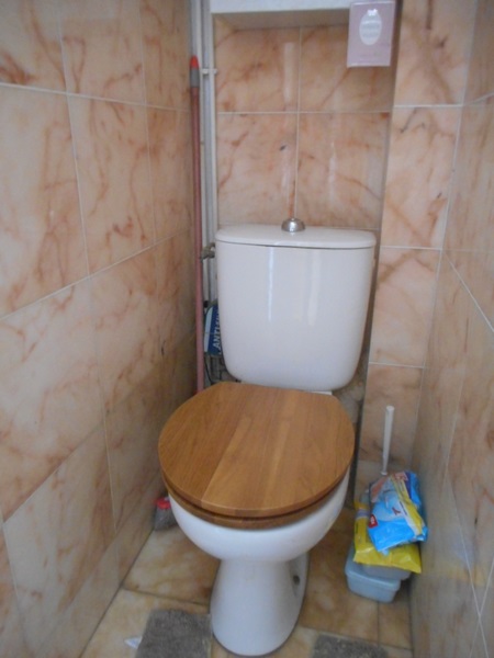 zg LUVITERE toilet toilette.JPG