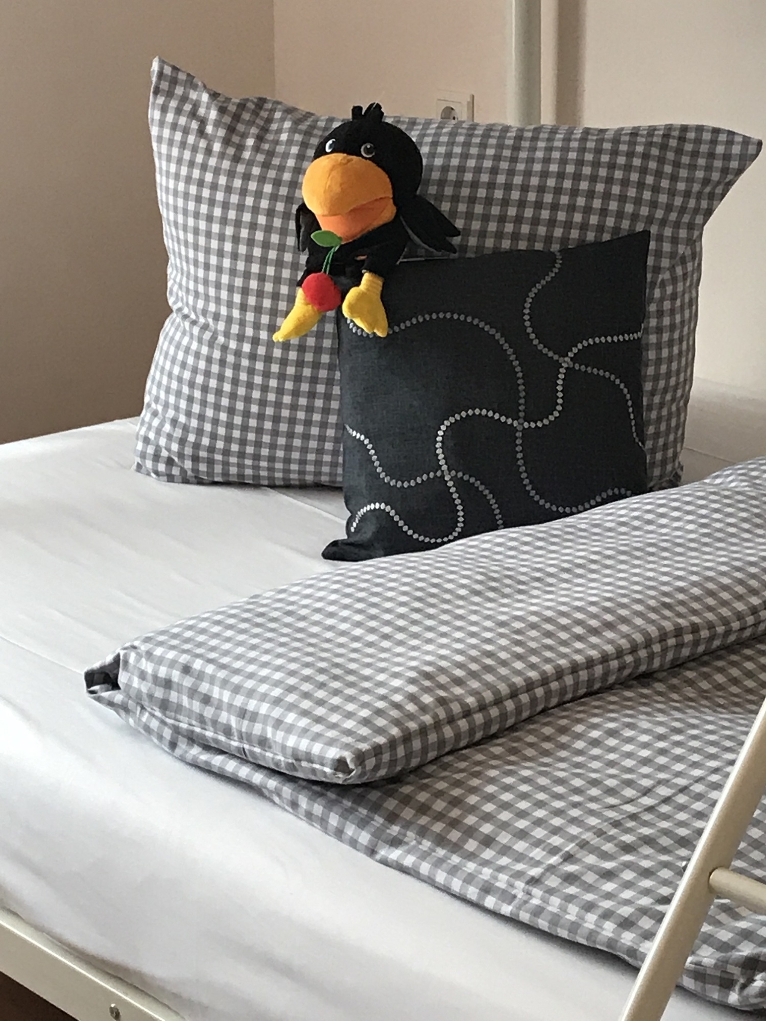 IMG_5825 kleiner.jpg