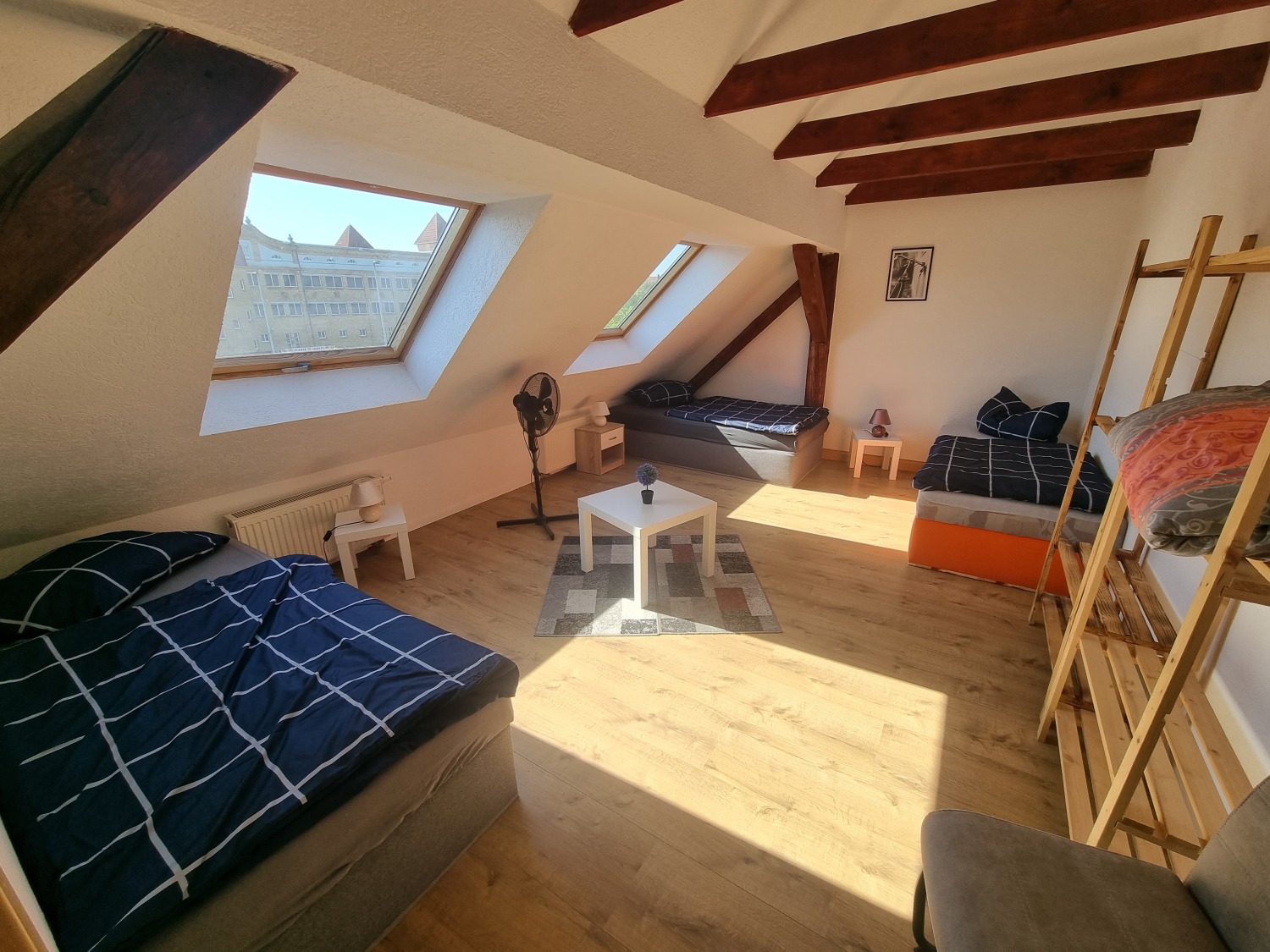 WhatsApp Image 2025-04-29 at 12.25.32 (3).jpeg