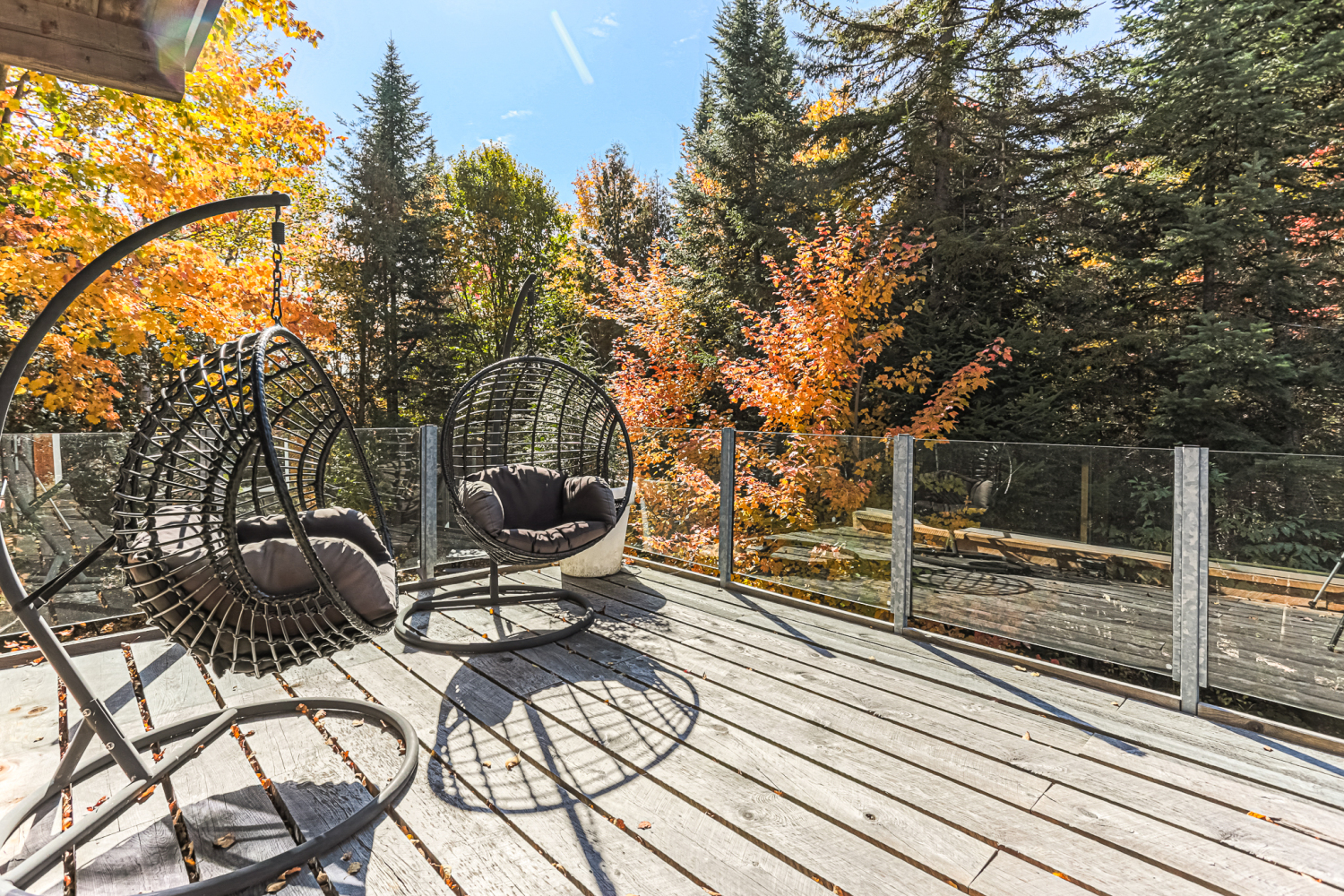 12 des bouleaux-105.jpg