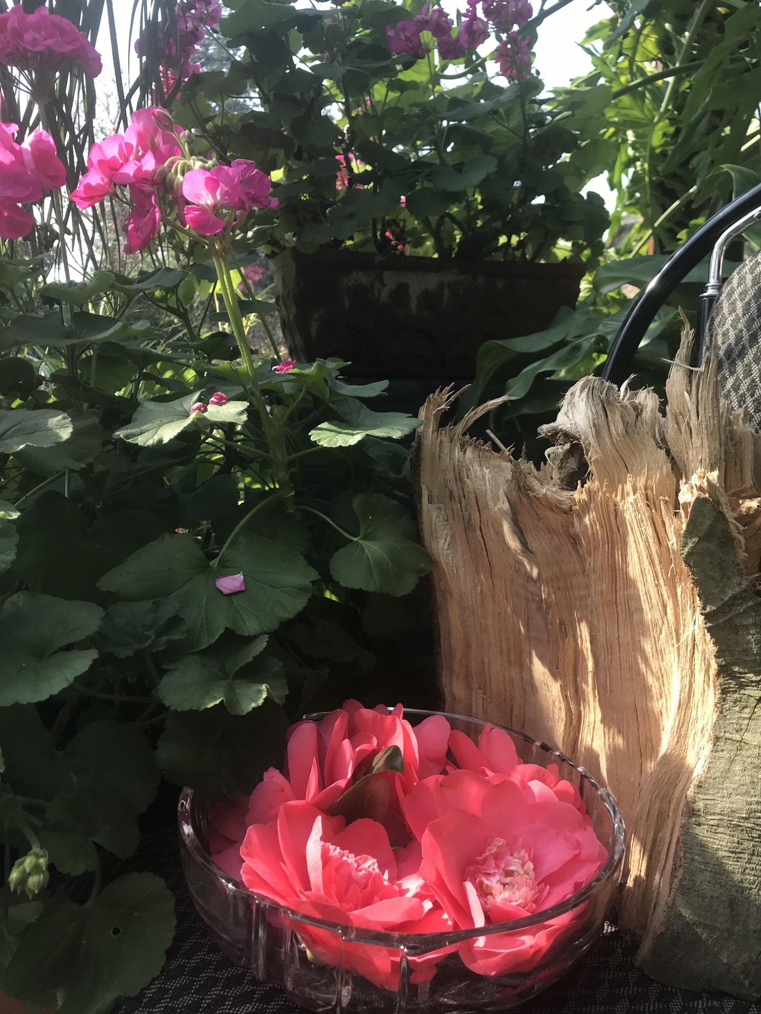 IMG_3400 - Kopie.jpg