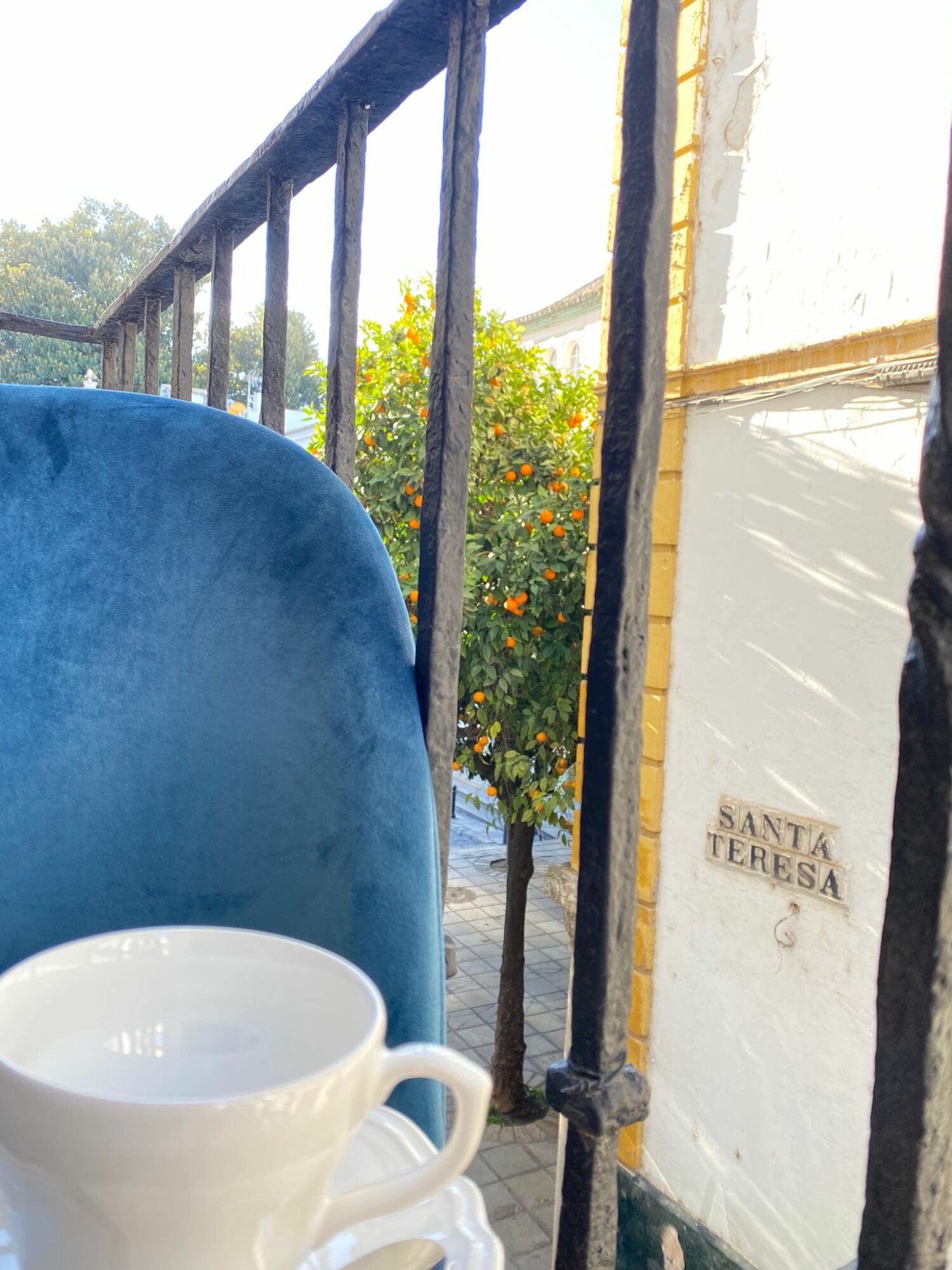 WhatsApp Image 2021-12-15 at 17.33.17.jpeg