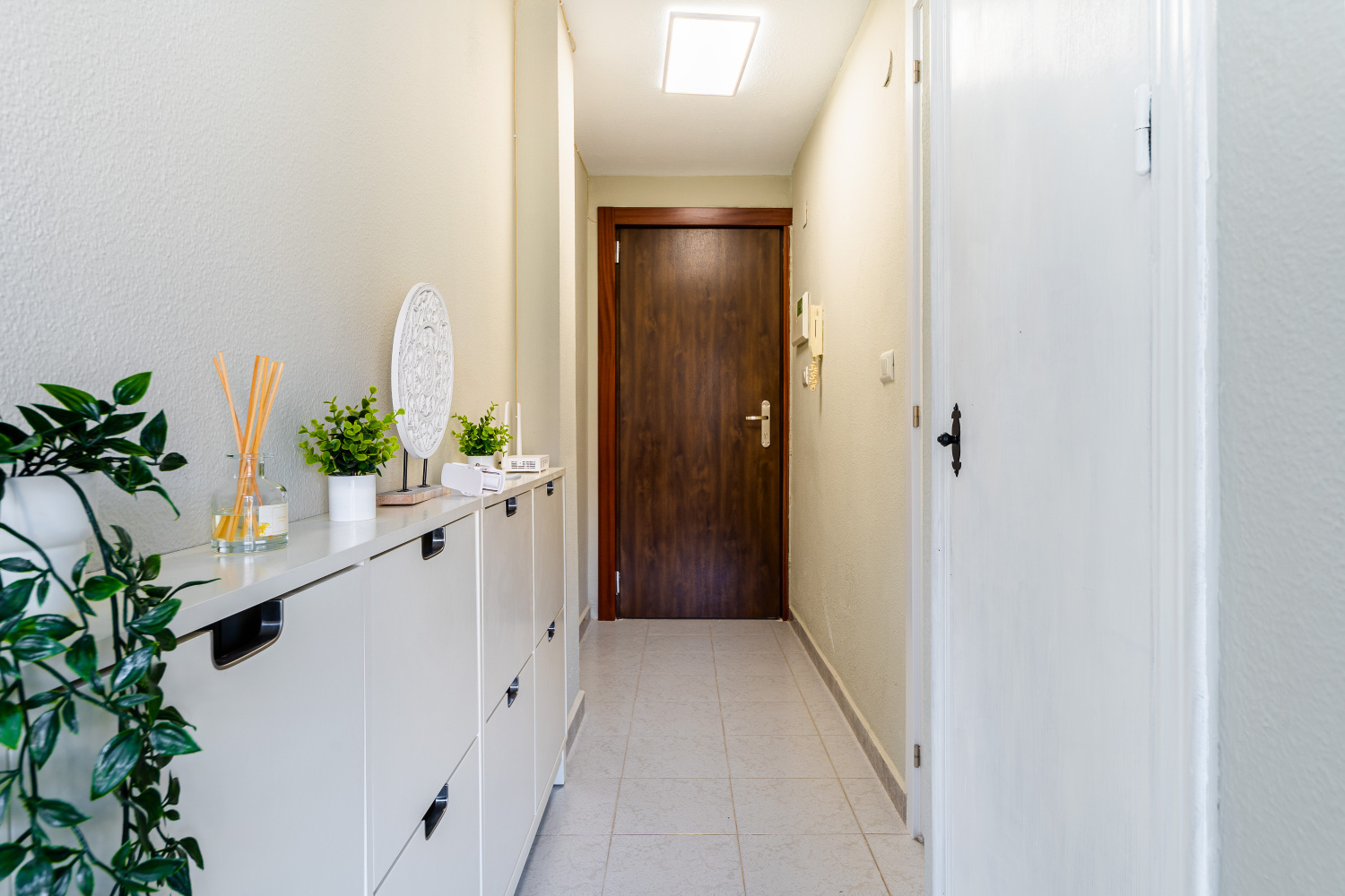 Actualizacion Calle Aquiles (9).jpg