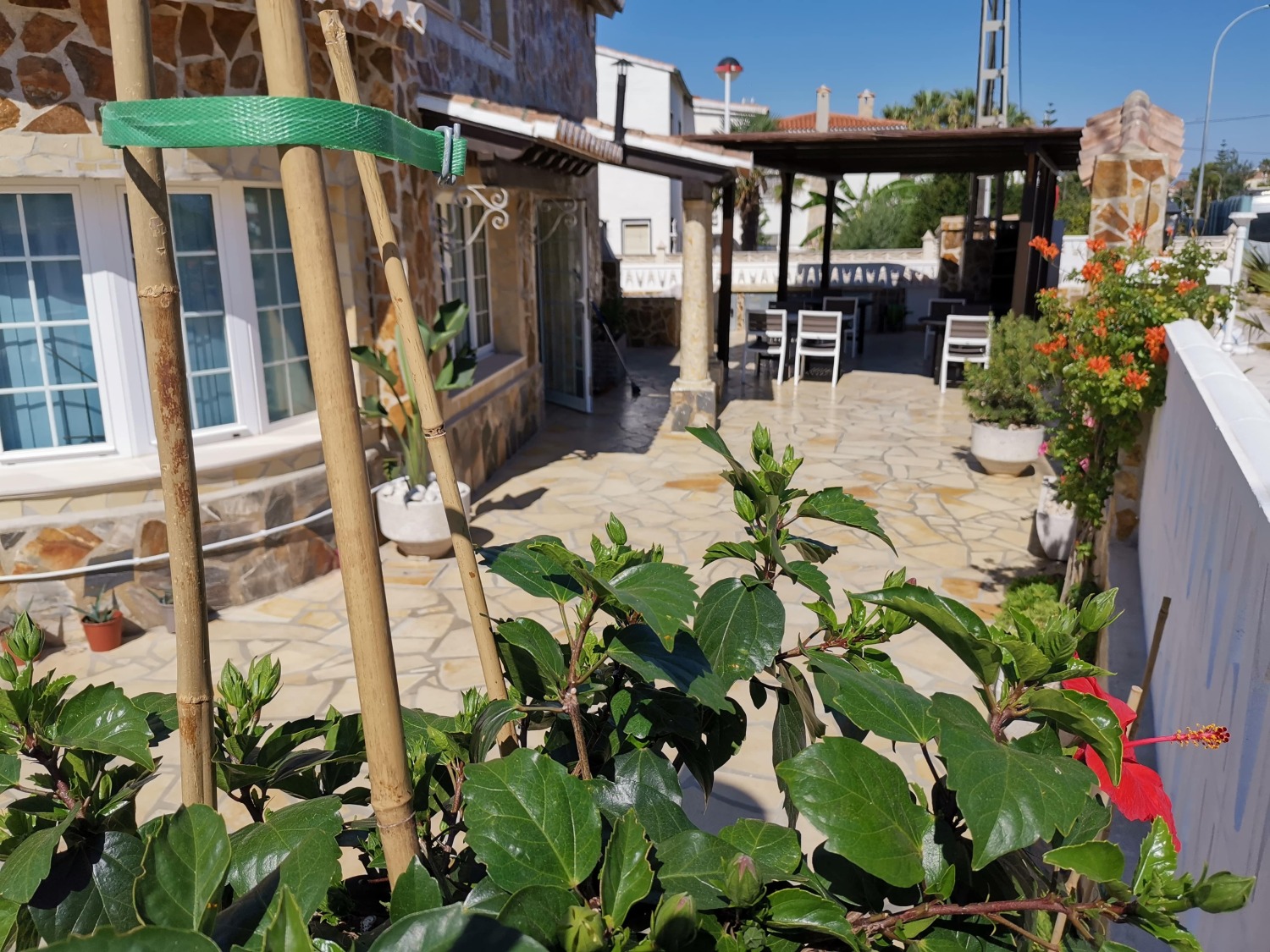 Residencia Thomas Außenbereich-5-min-min.jpg