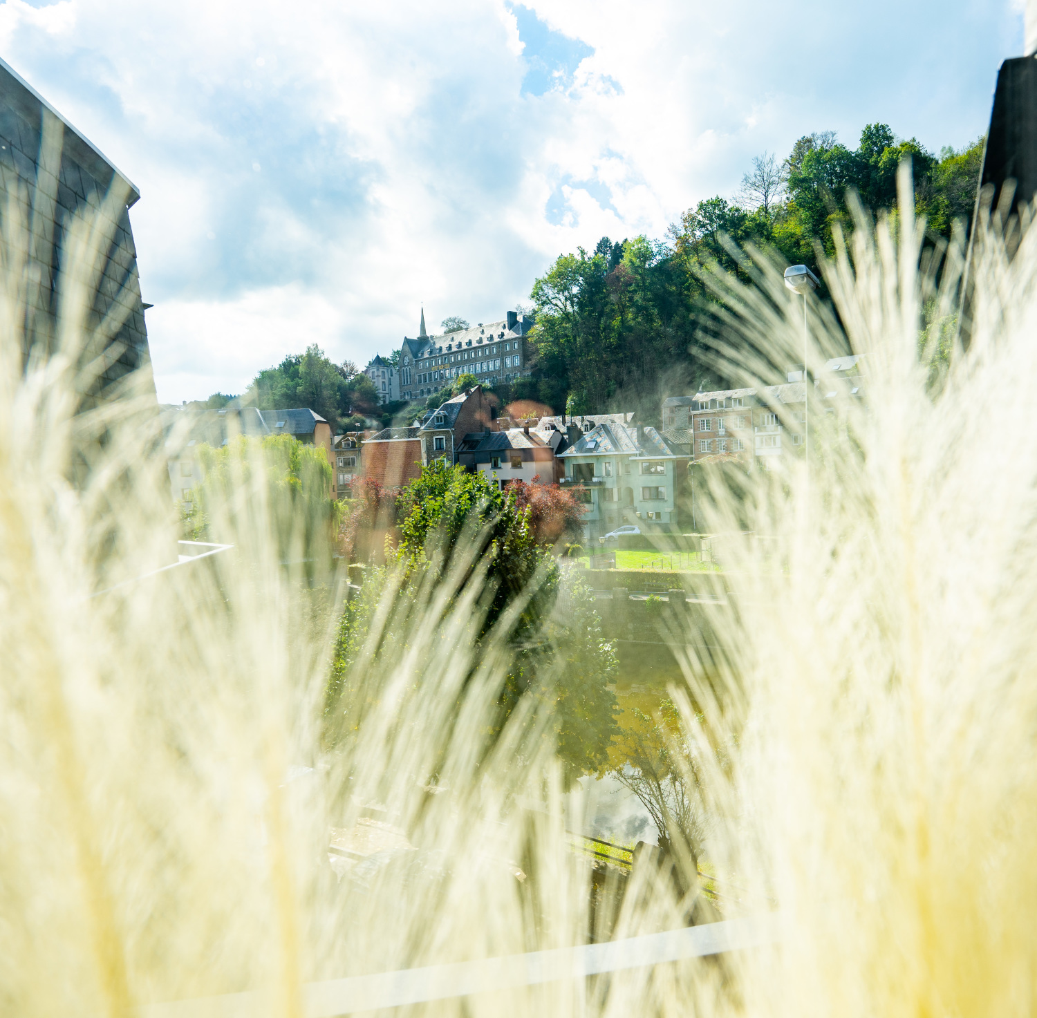 Quai de l'Ourthe Web-05324.jpg