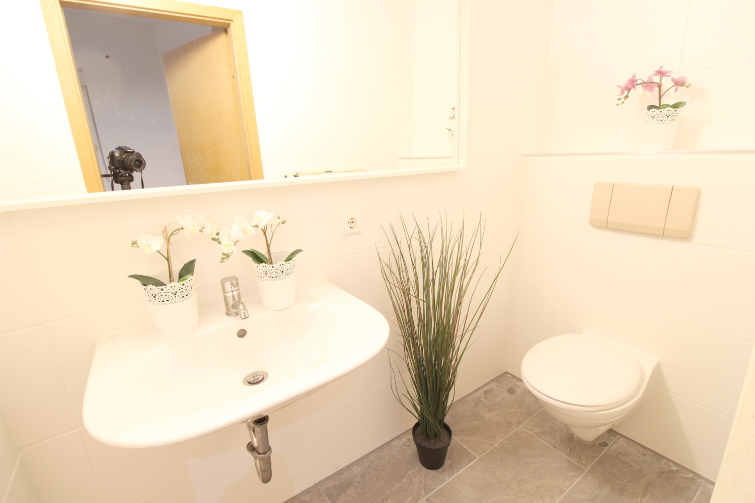 2022-11-01 - 206-bad-c_b.jpg