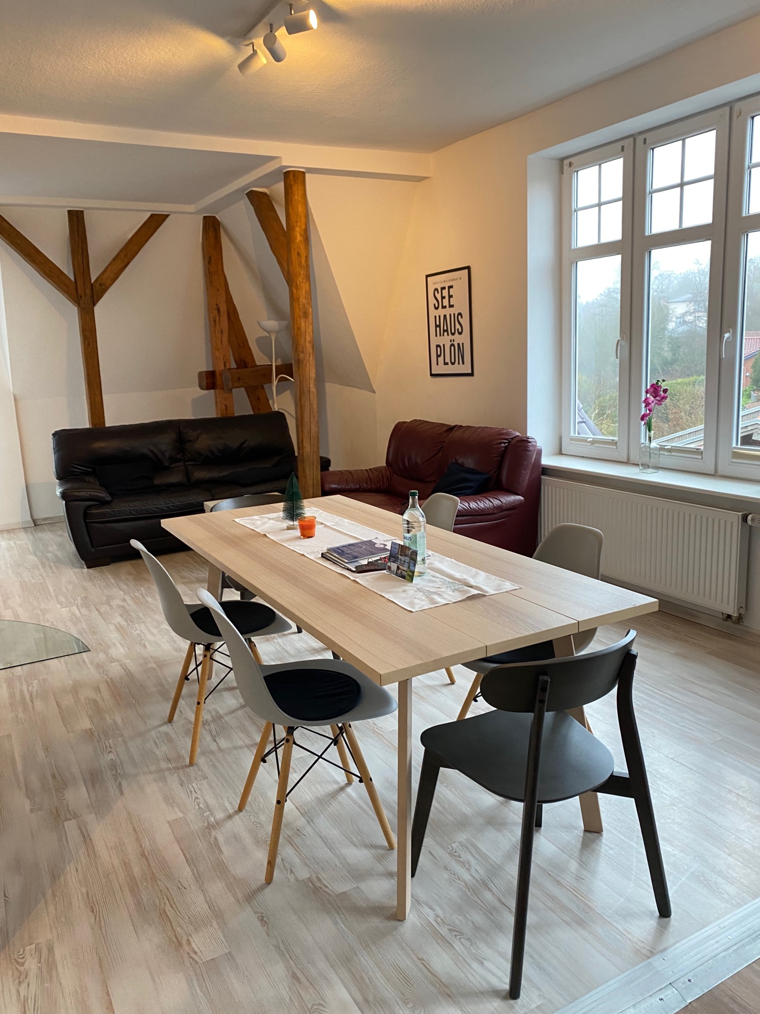 seeadler_25 - 6.jpeg