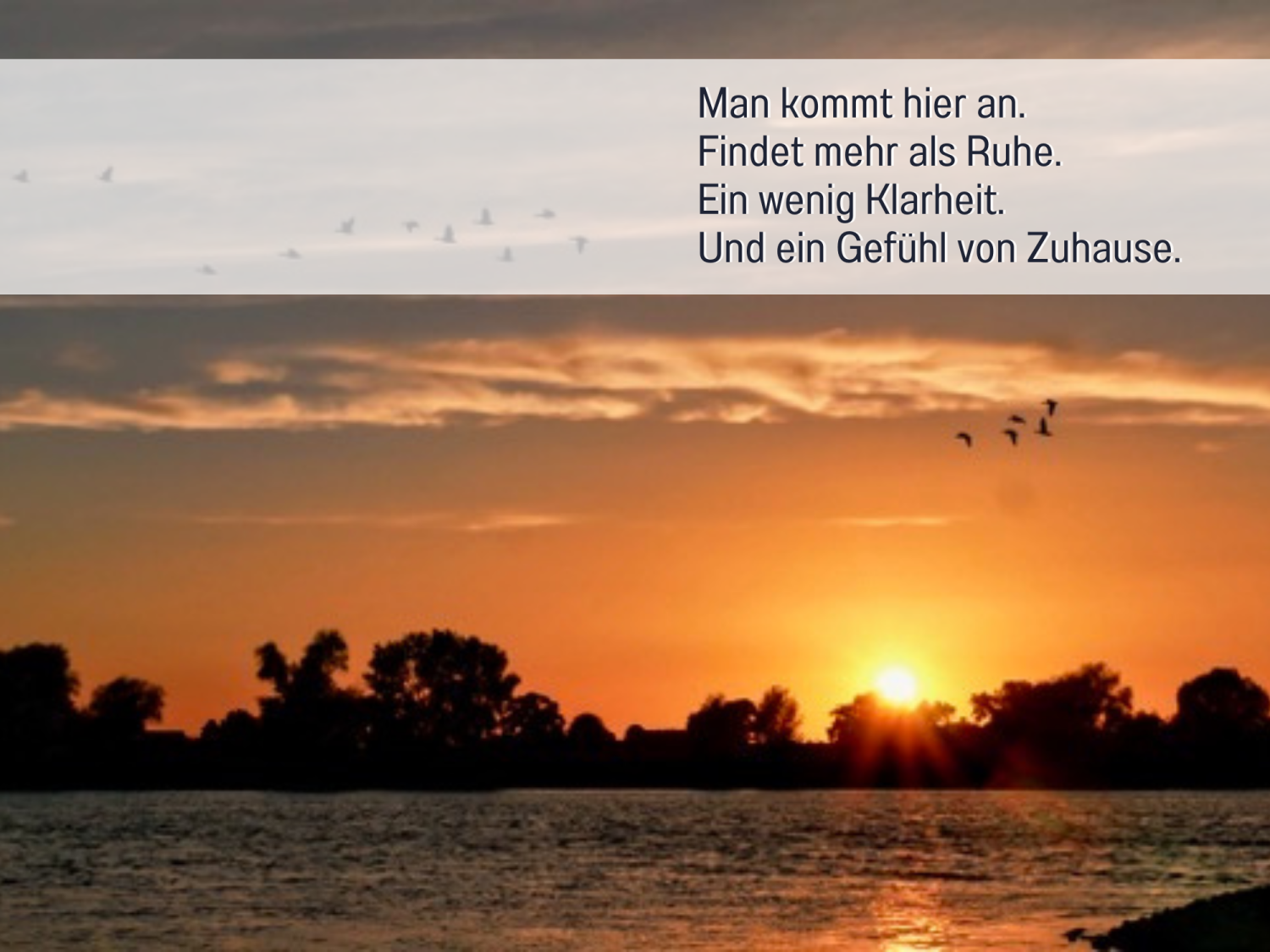 Vorlage für _beschriftet (44).png