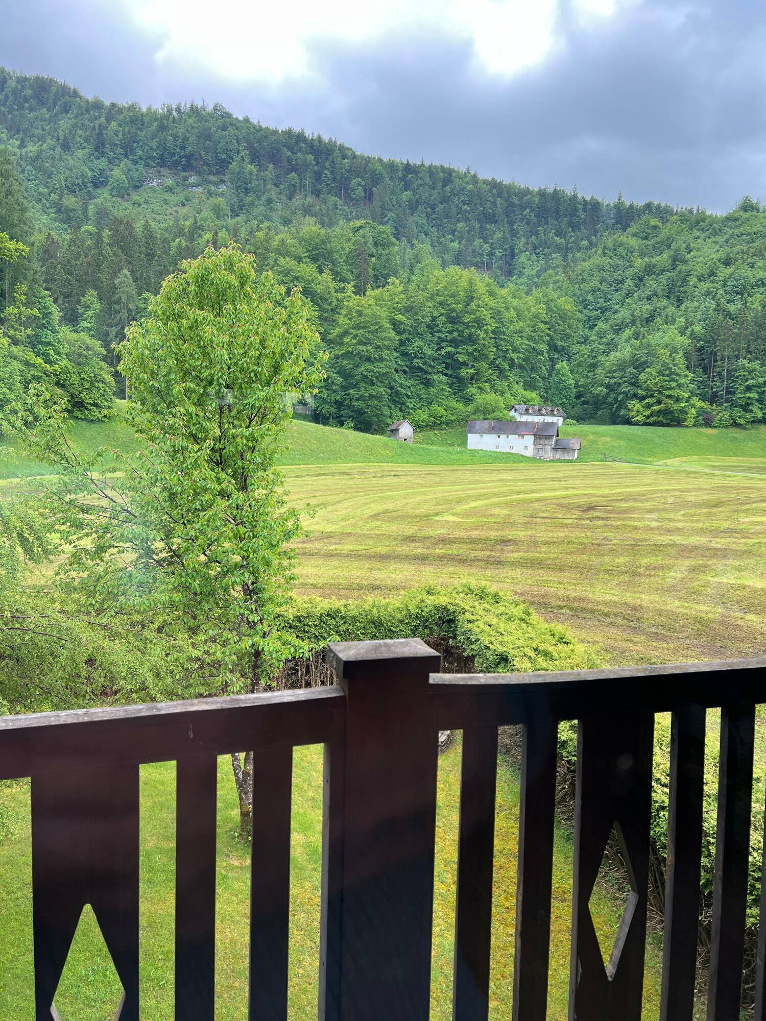 WhatsApp Image 2025-05-16 at 13.40.18 (2).jpeg