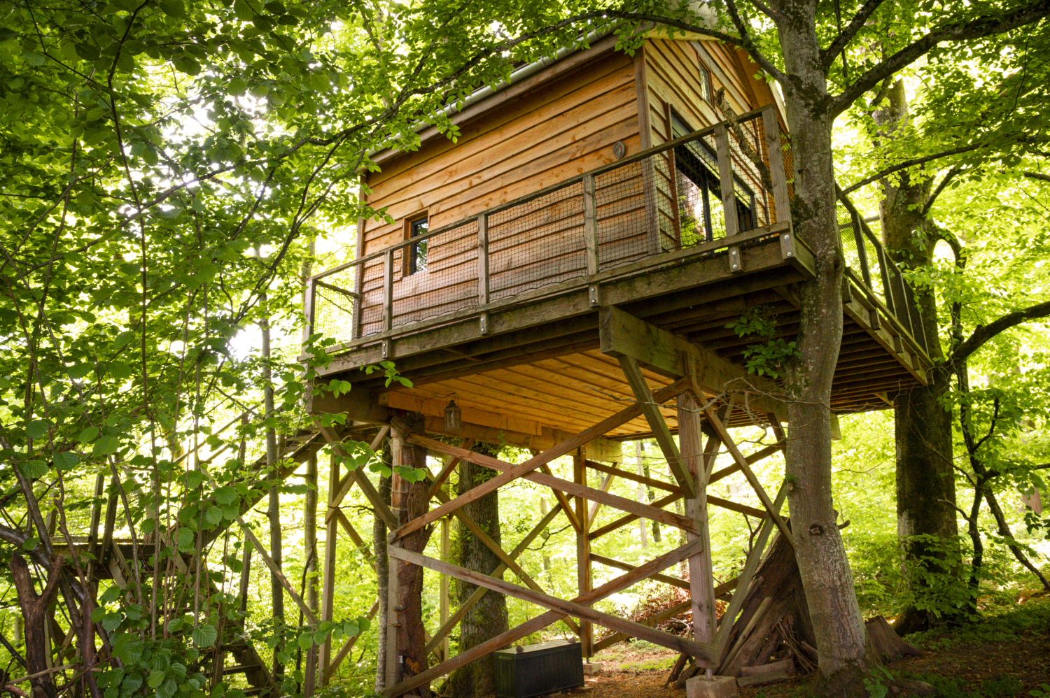 pat' de l'ours-12.JPG