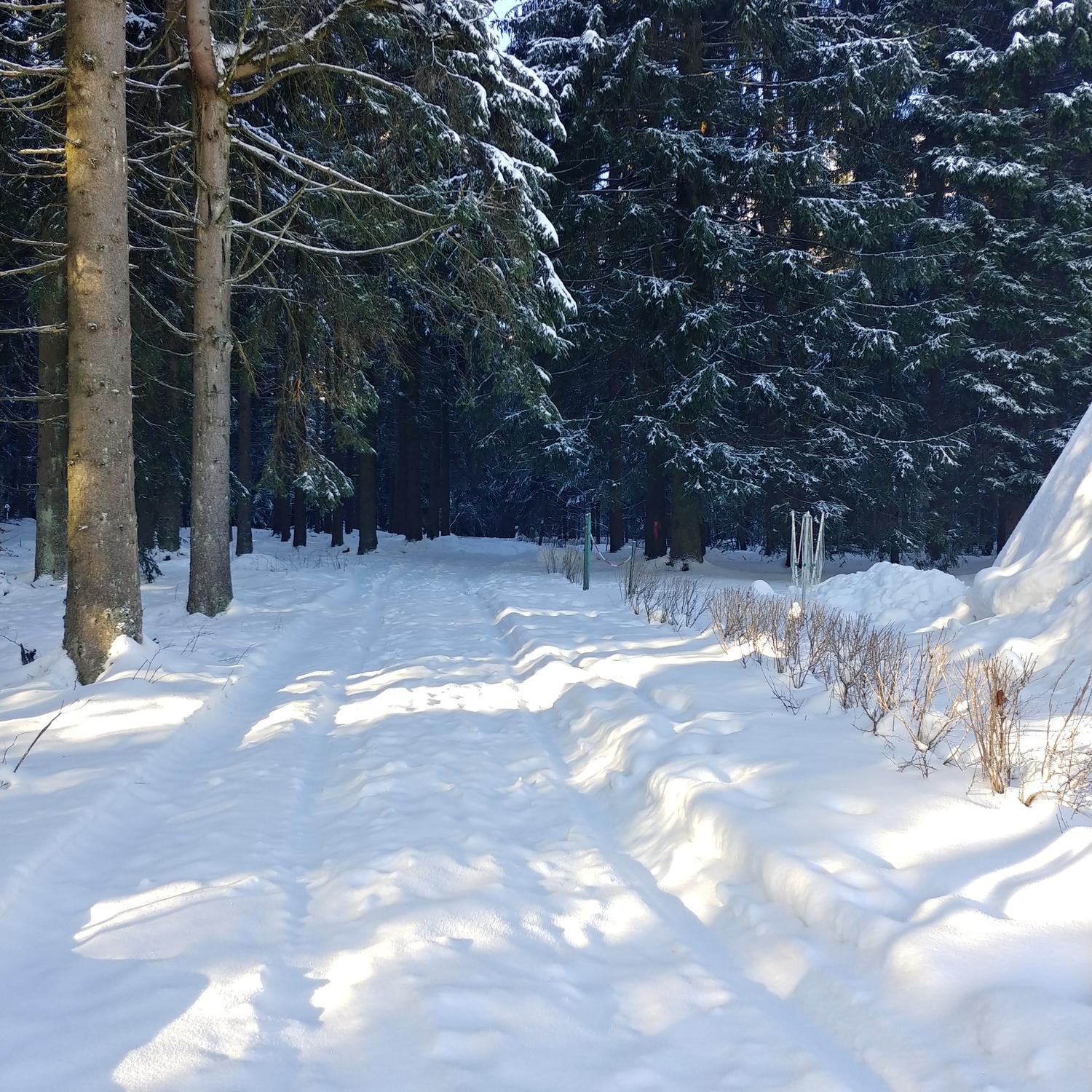 2019-01-18 10.30.43.jpg