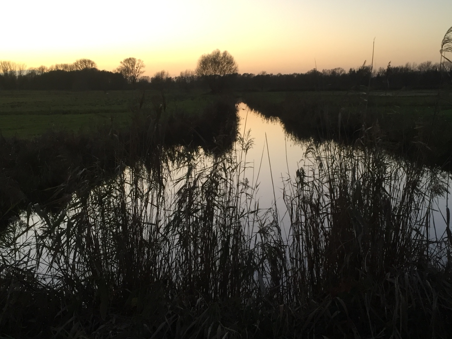 Landschaft Paretz am Schloss Abend-1-2.jpg