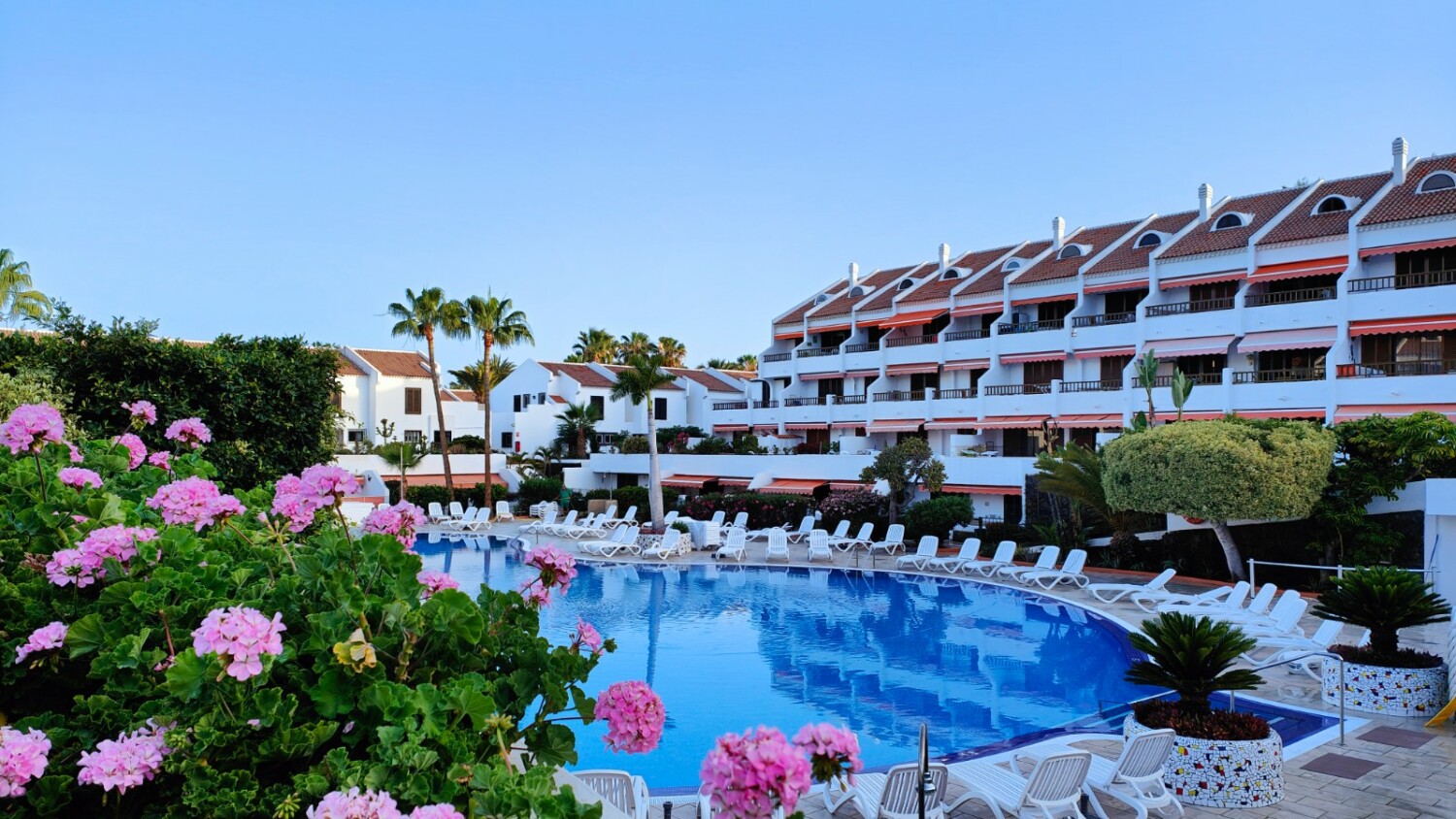 Copia de IMG20230511080946.jpg