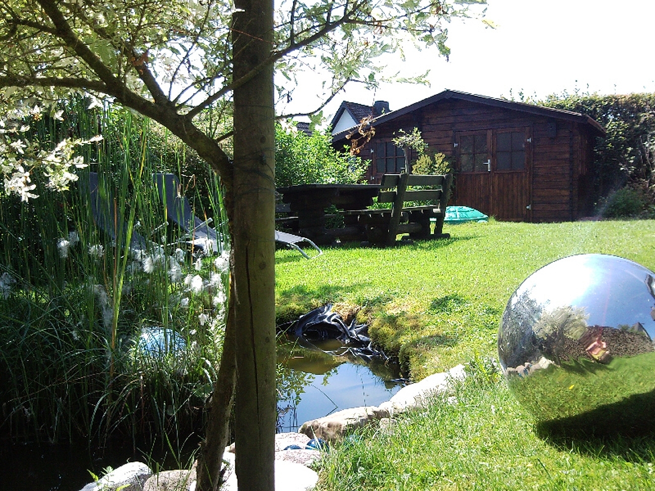 gartenbereich teich.jpg