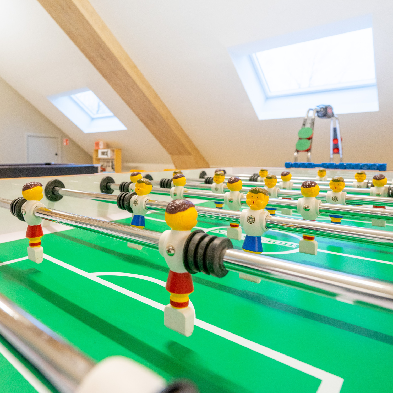 Bridge into the Nature Web-02831.jpg