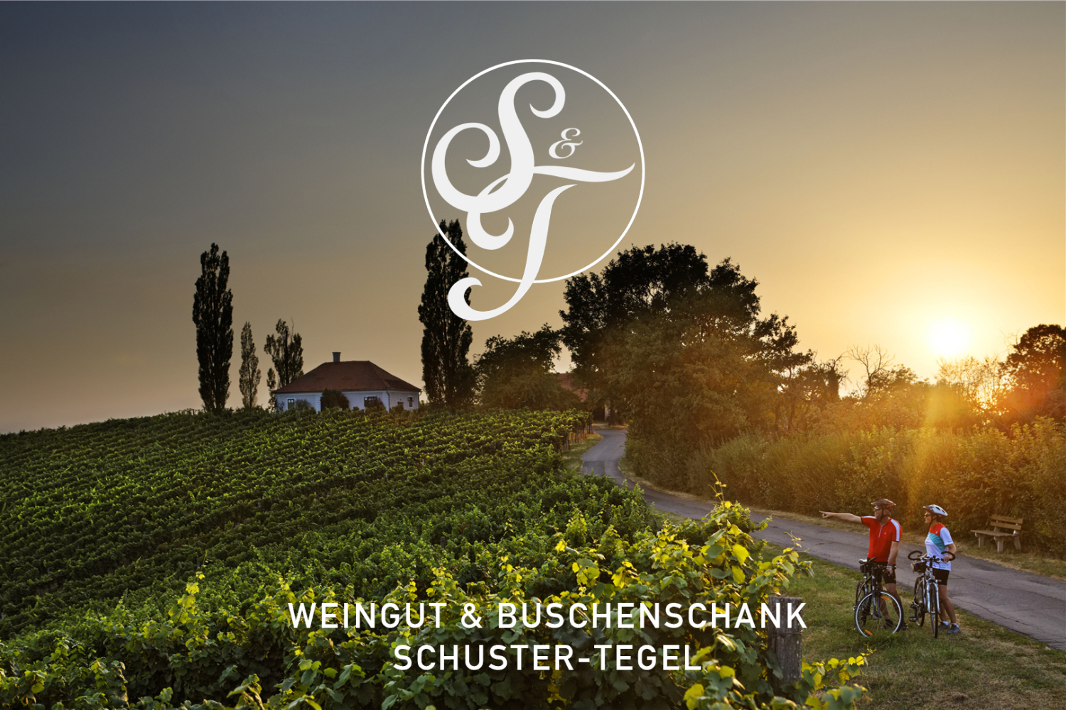 BL_Poster_Bild mit Logo_schuster tegel.jpg