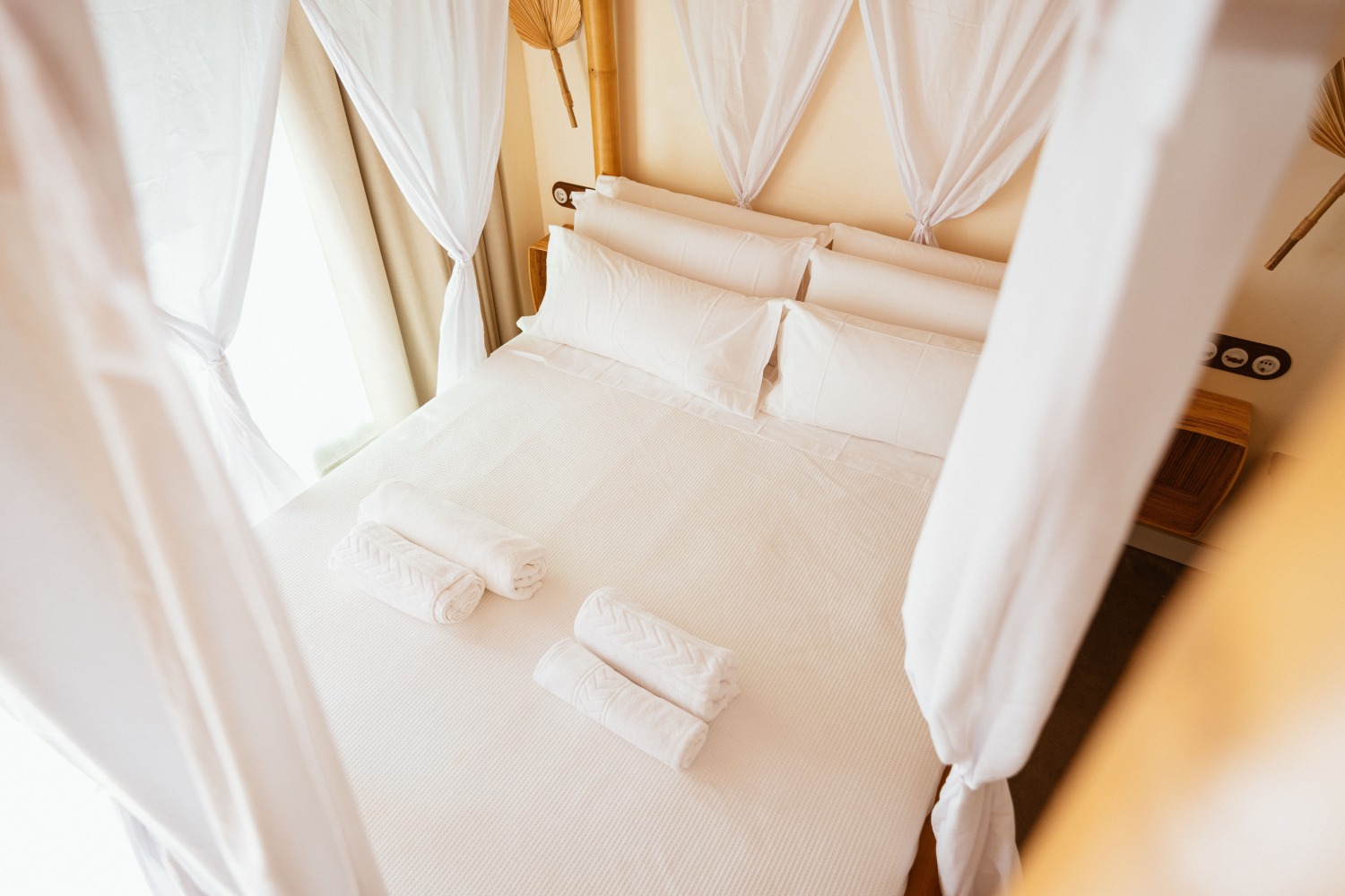 09072024SANTAI COLORDSC09480.jpg