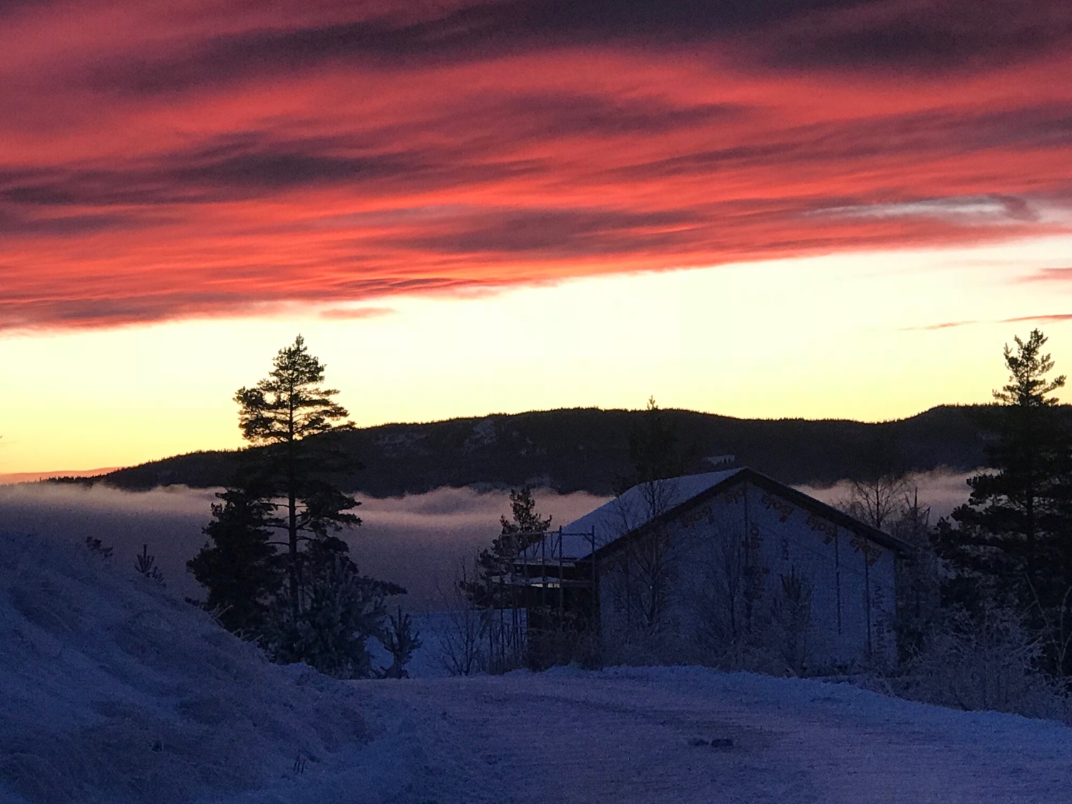 2019-03-07 19.37.25.jpg