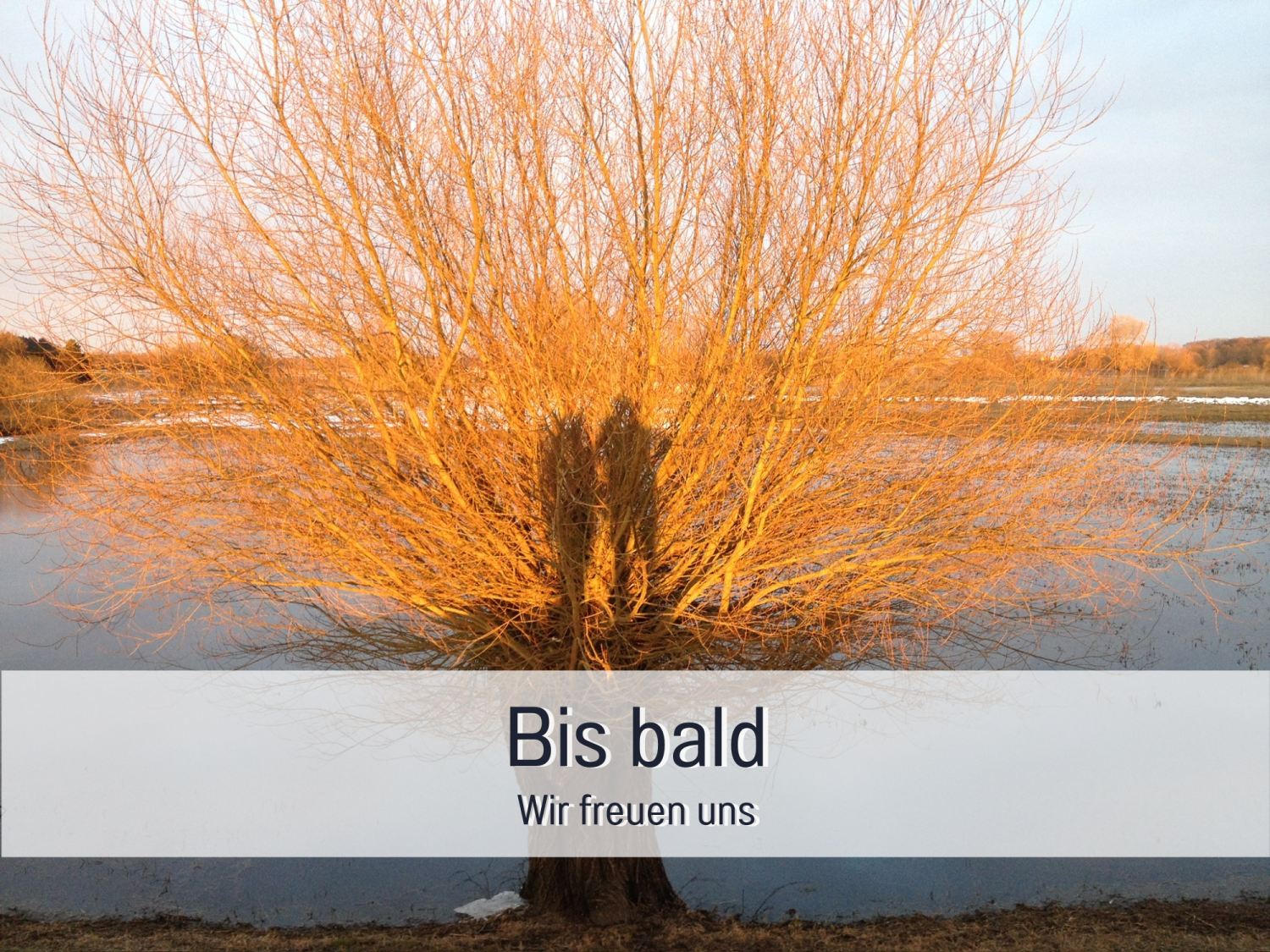 Vorlage für _beschriftet (45).png