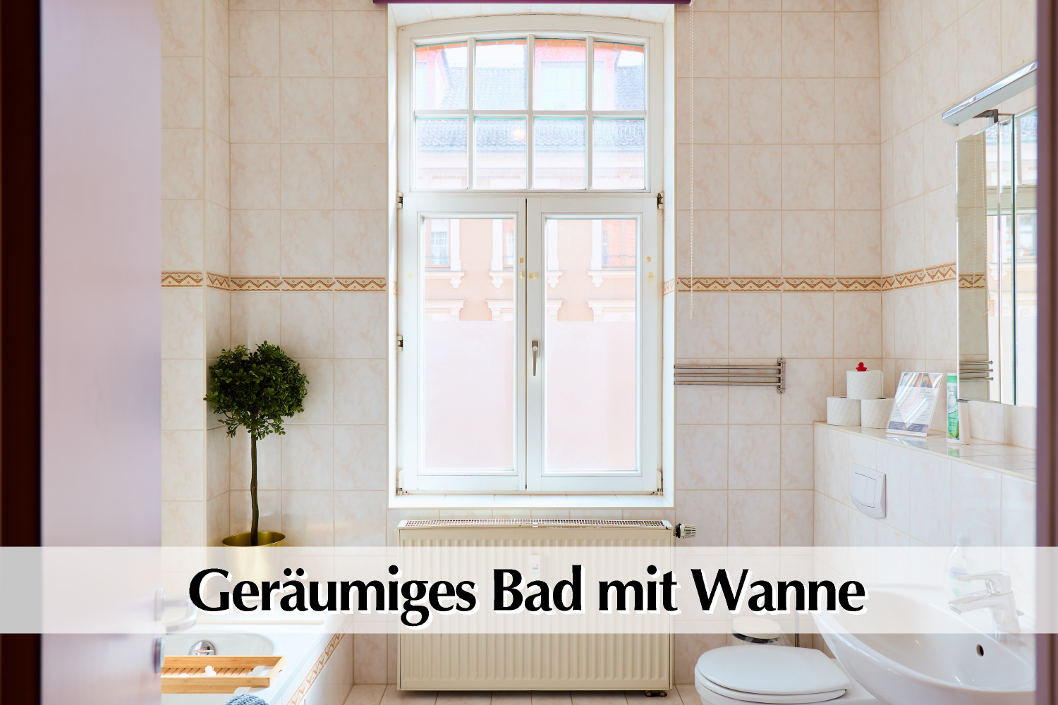 106 ©Thomas Abé.png