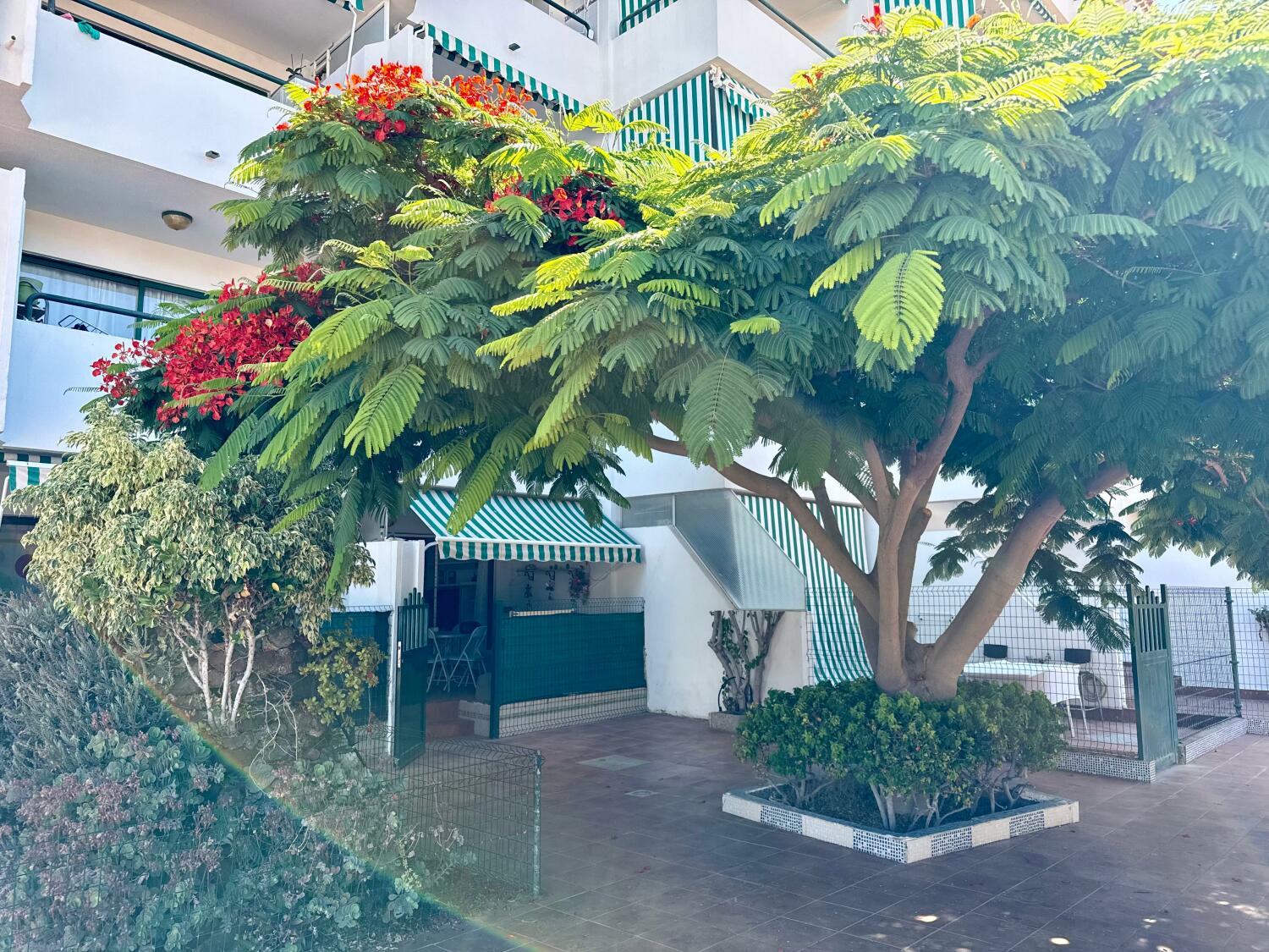 WhatsApp Image 2025-07-17 at 18.01.55 (1).jpeg