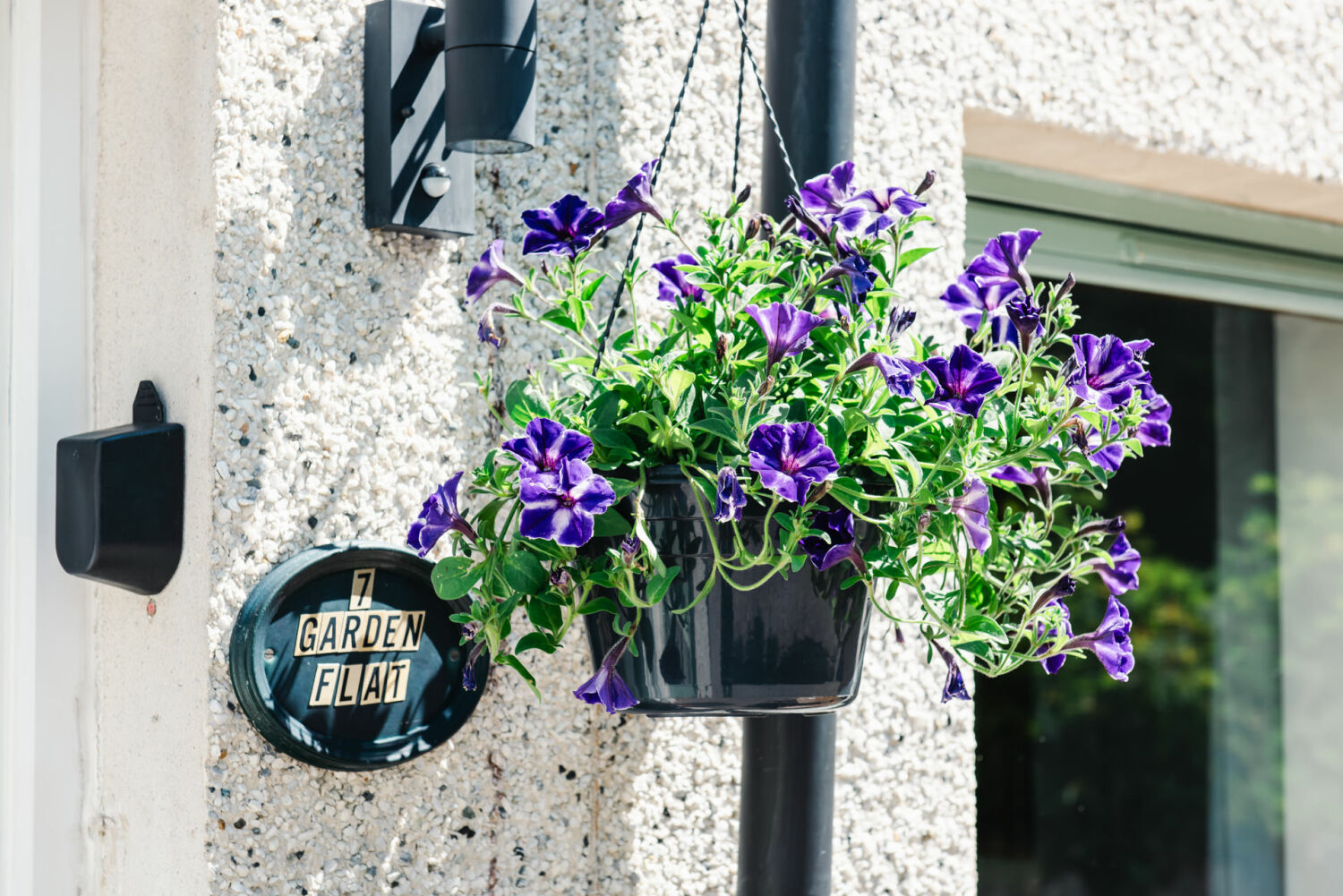 Garden Flat (Low Res)-5.jpg