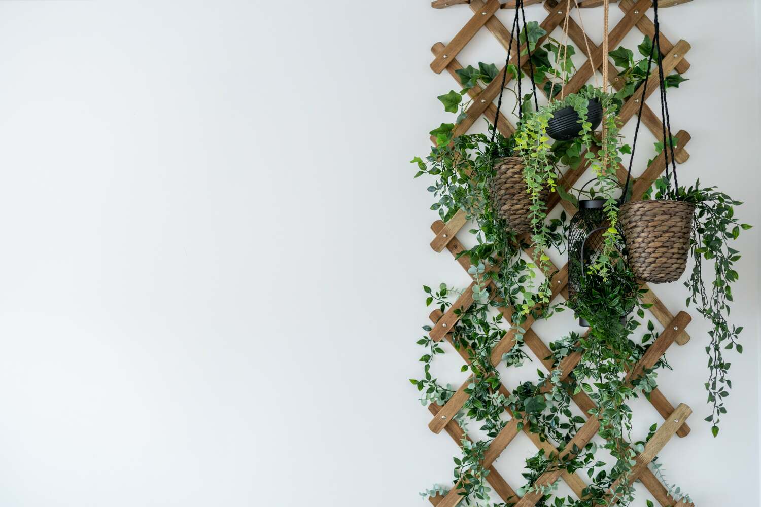 Kandaka Properties - 12 Ravenscar Avenue Property Photos (128 of 185)-min.jpg