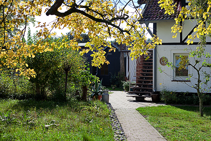 JS1410-644-a web.png