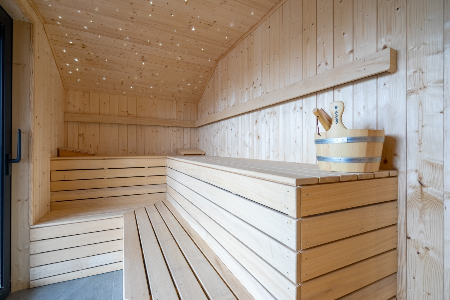 Bridge into the Nature Web--6.jpg