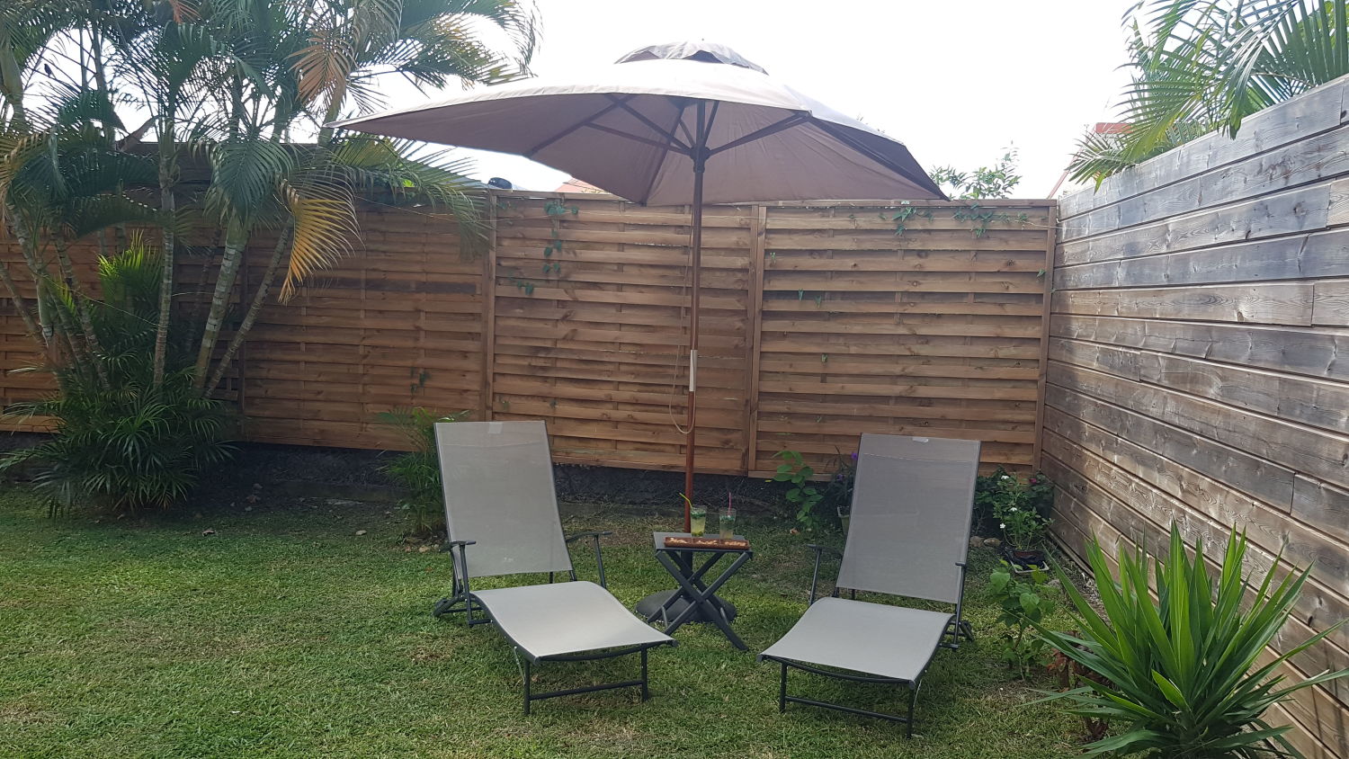 RDC Goyavier (29).jpeg