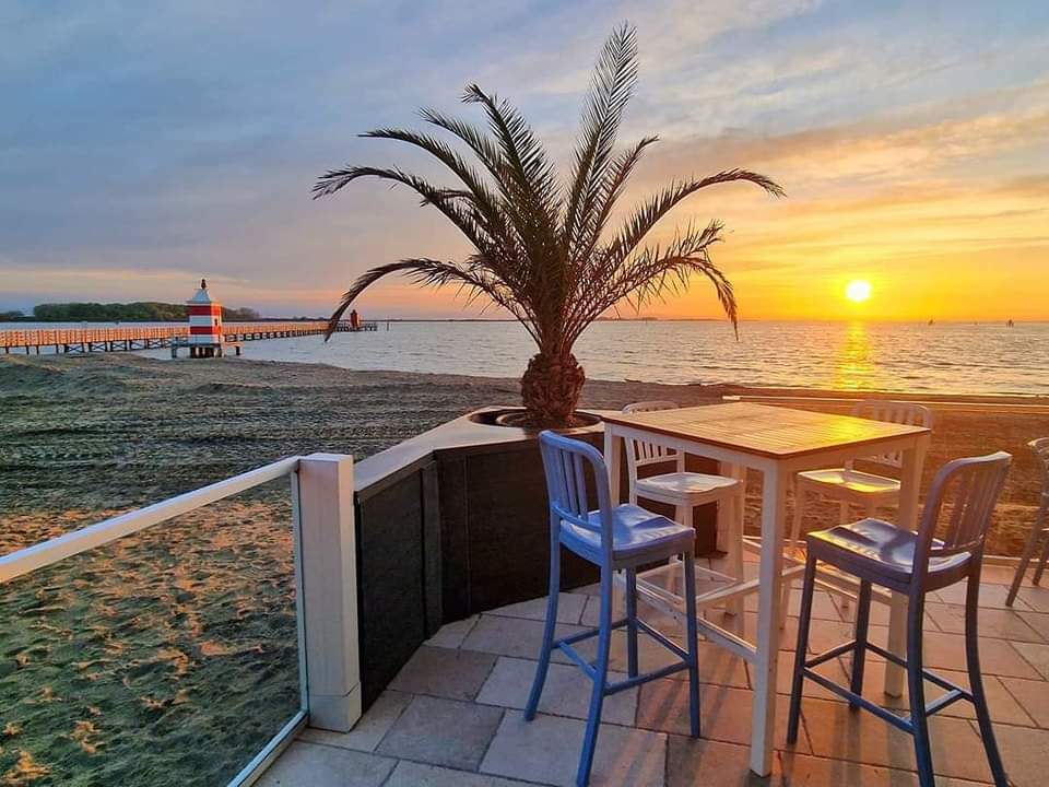 32-Immagine WhatsApp 2025-02-04 ore 18.07.57_a8e4b7eb.jpg