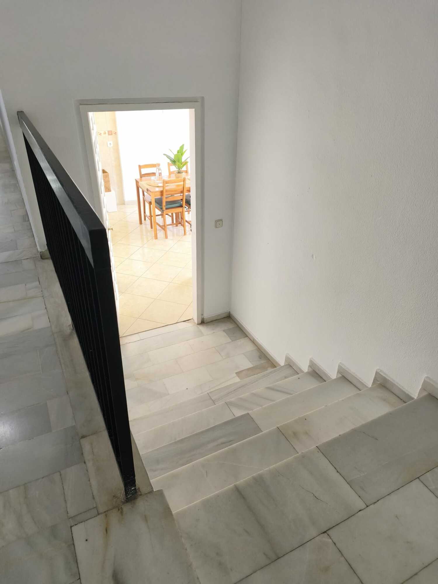 WhatsApp Image 2026-03-11 at 13.50.34495.jpeg