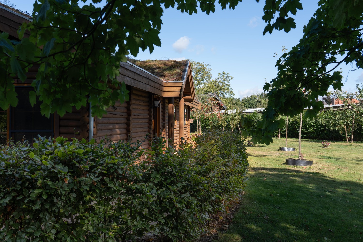 B&B Bij de Appelhof (2)-min.jpg