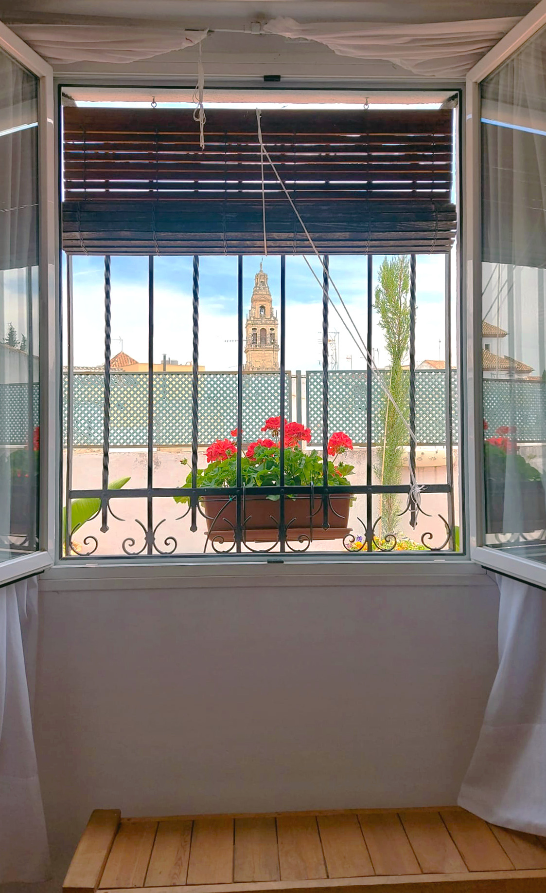 WhatsApp Image 2021-05-16 at 17.45.08.jpg