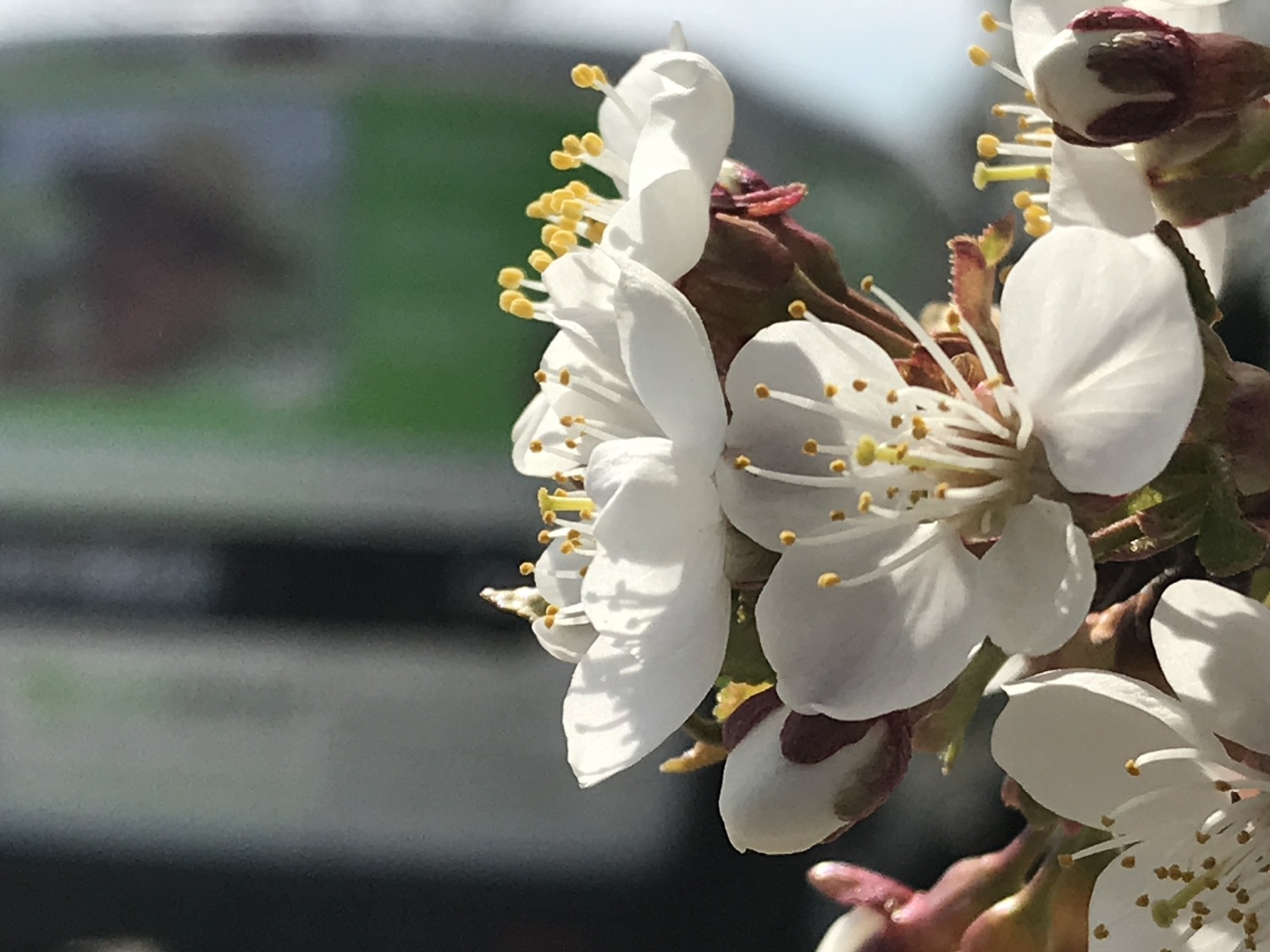 IMG_4740 kleiner.jpg