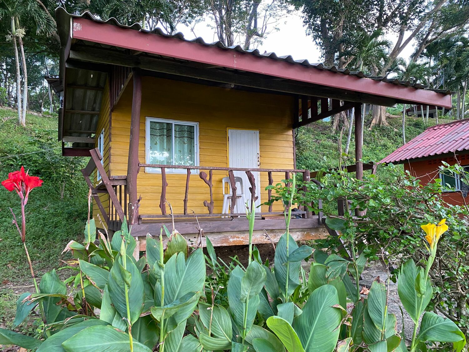 Panka alpha outside - flowers.jpg