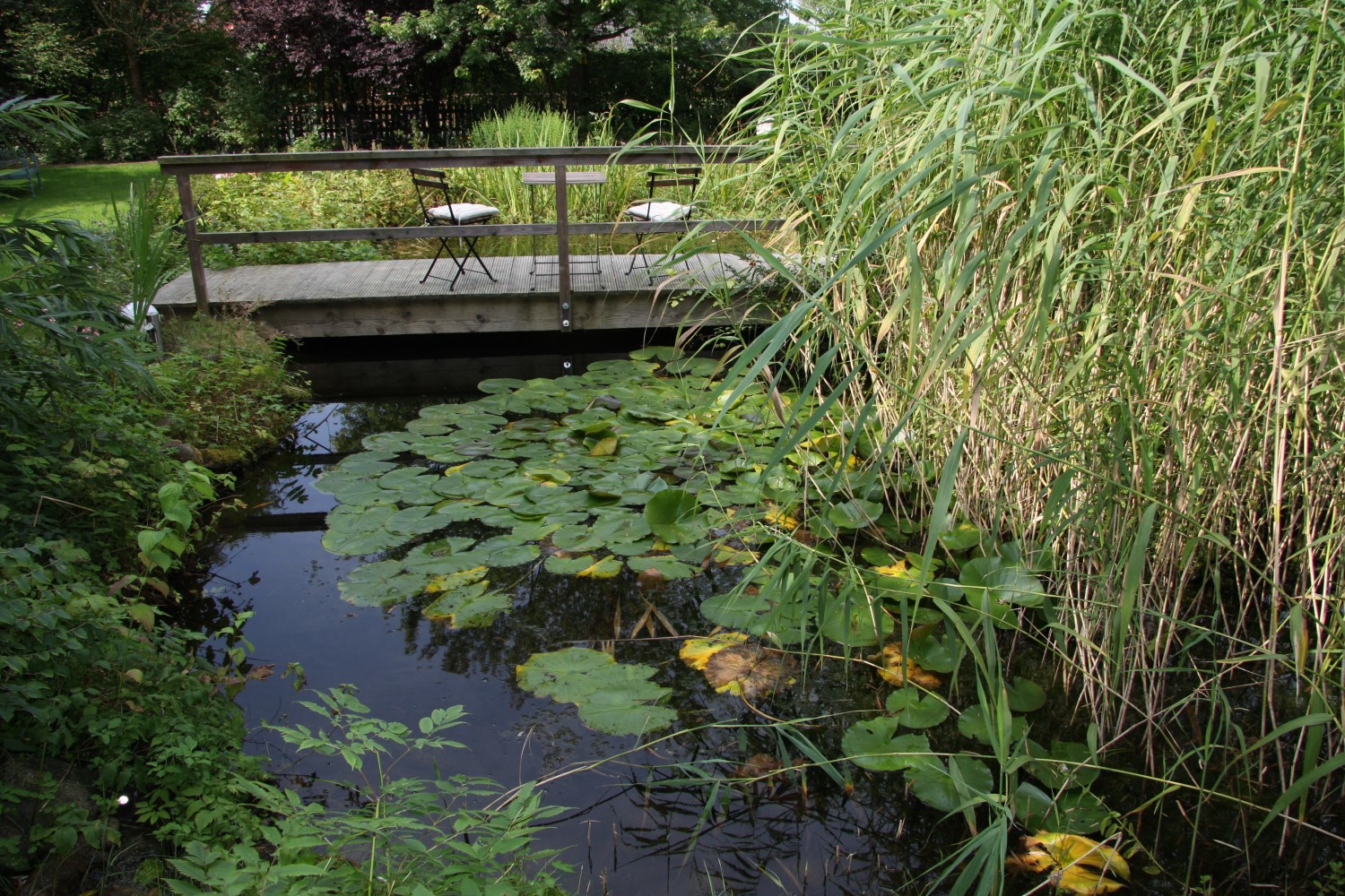 Gartenteich mit Sitzplatz2.jpg