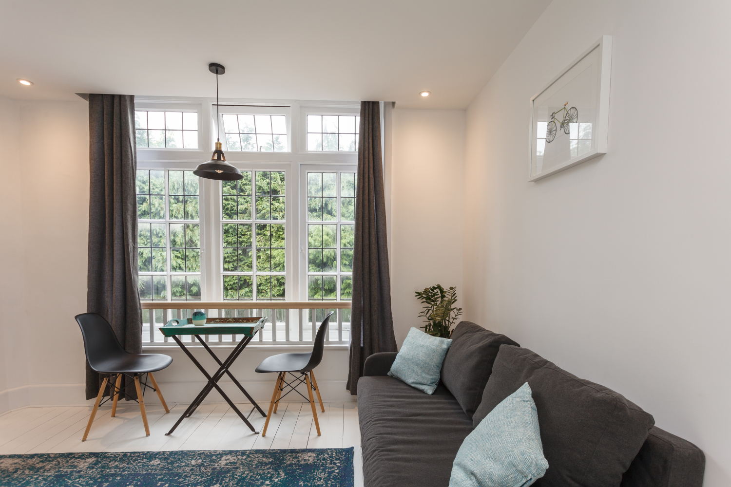 Ap1B Living Space and Window.jpg